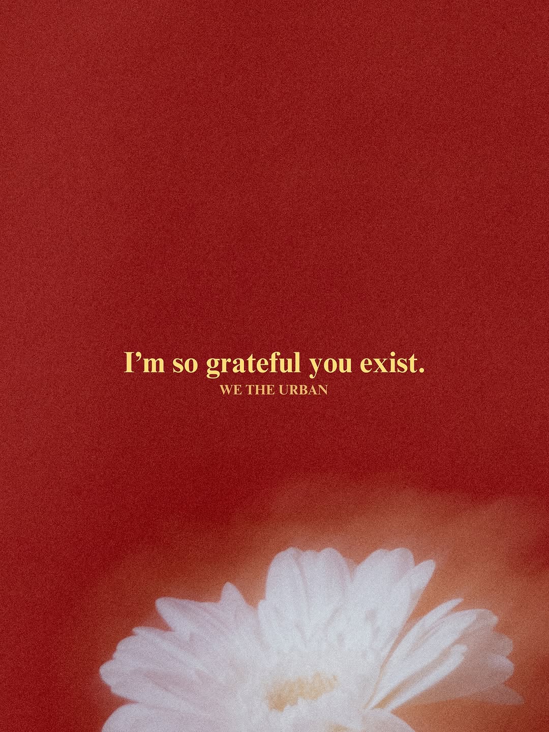 Thumbnail of www-instagram-com-p-dol3yvrjx6i 5