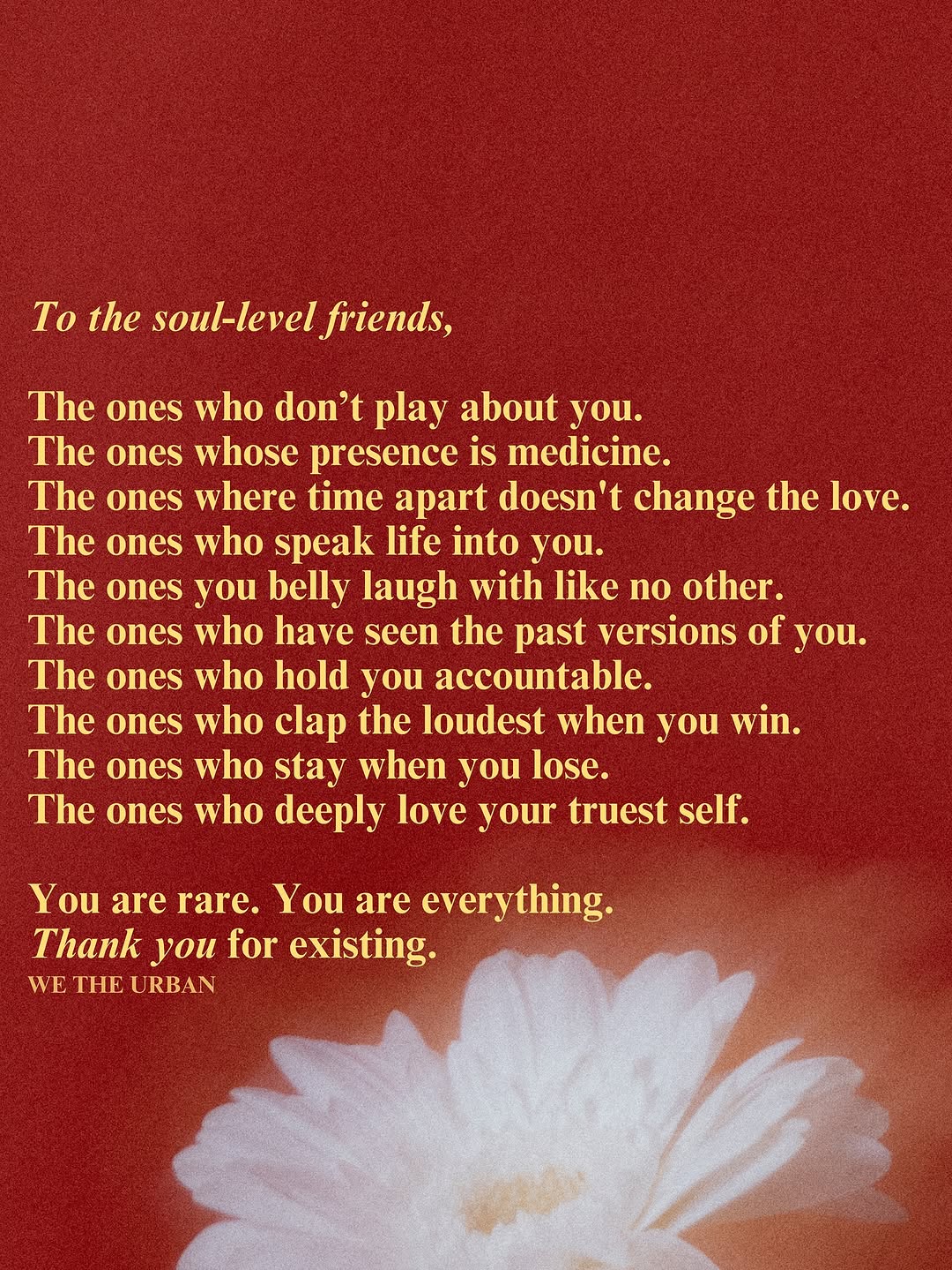 Thumbnail of www-instagram-com-p-dol3yvrjx6i 7