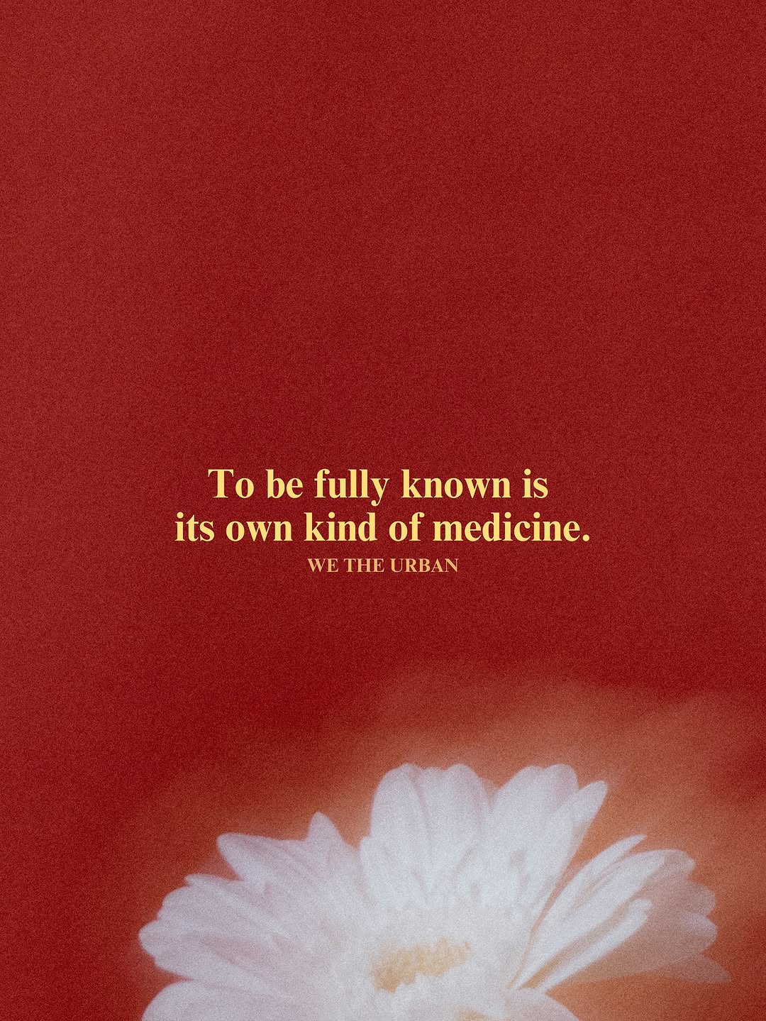 Thumbnail of www-instagram-com-p-dol3yvrjx6i 9