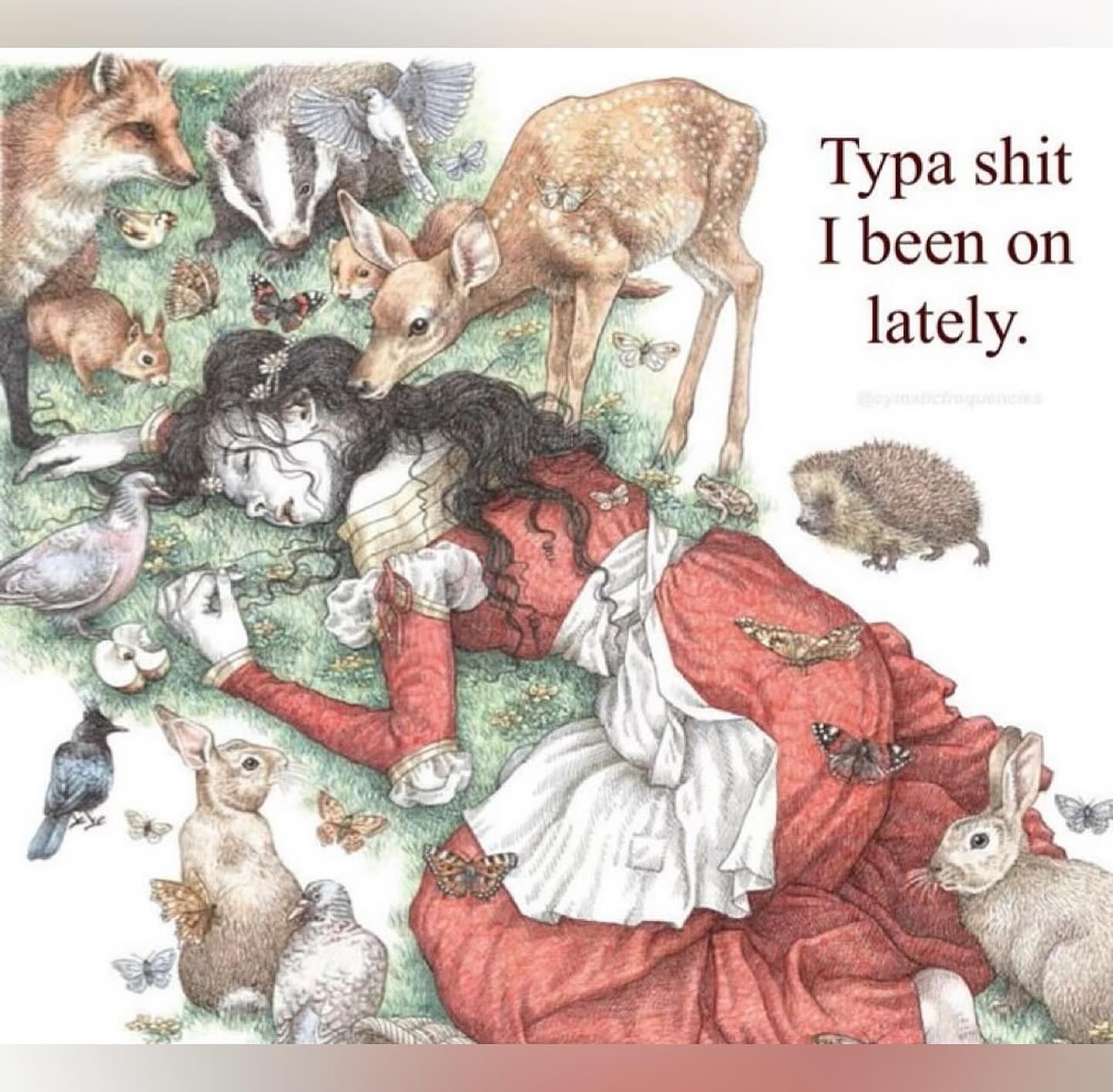 Thumbnail of p-dmiv1k2iesr-385e7fa00f6f4082 15