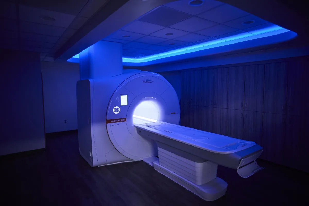 Thumbnail of www-x-com-daviddorg-status-2036855566371532893-38e1166c8615451f