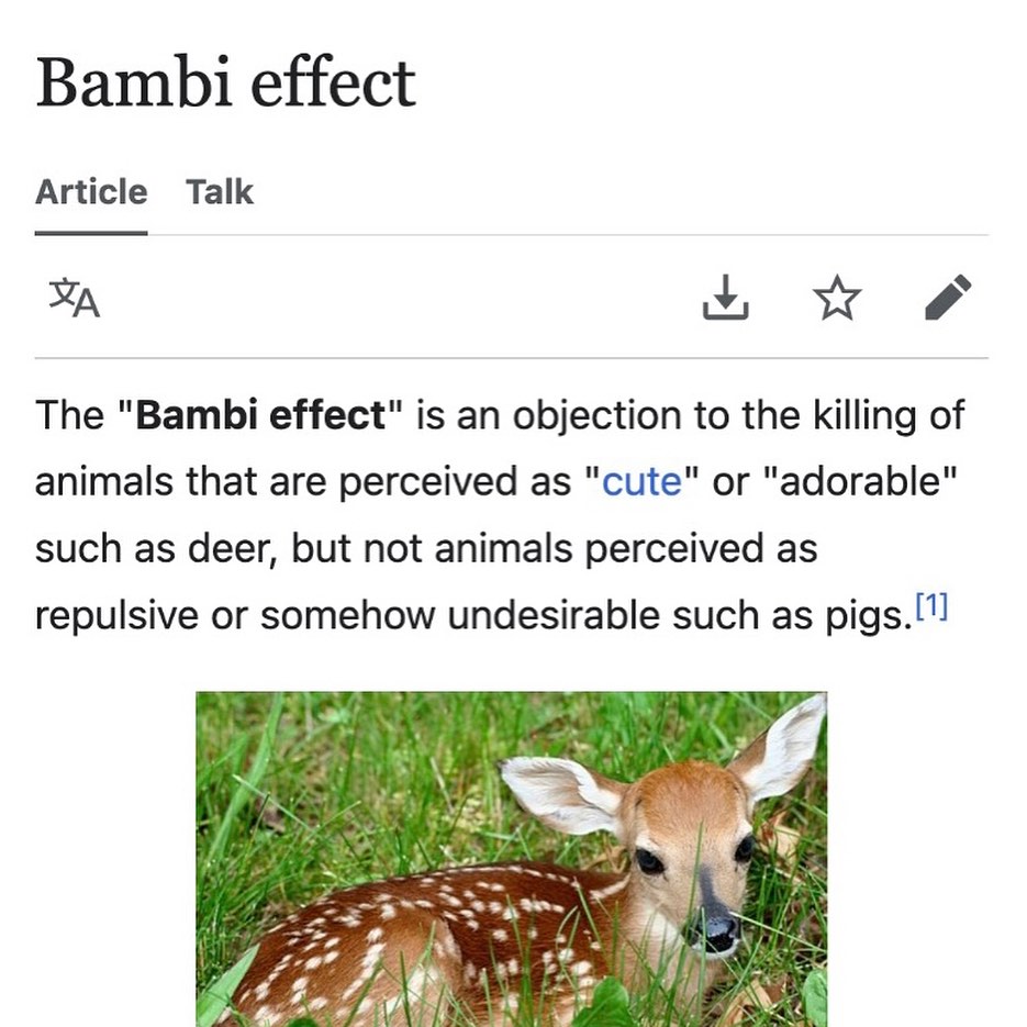 Thumbnail of www-instagram-com-p-dpnms0hjdz1 7