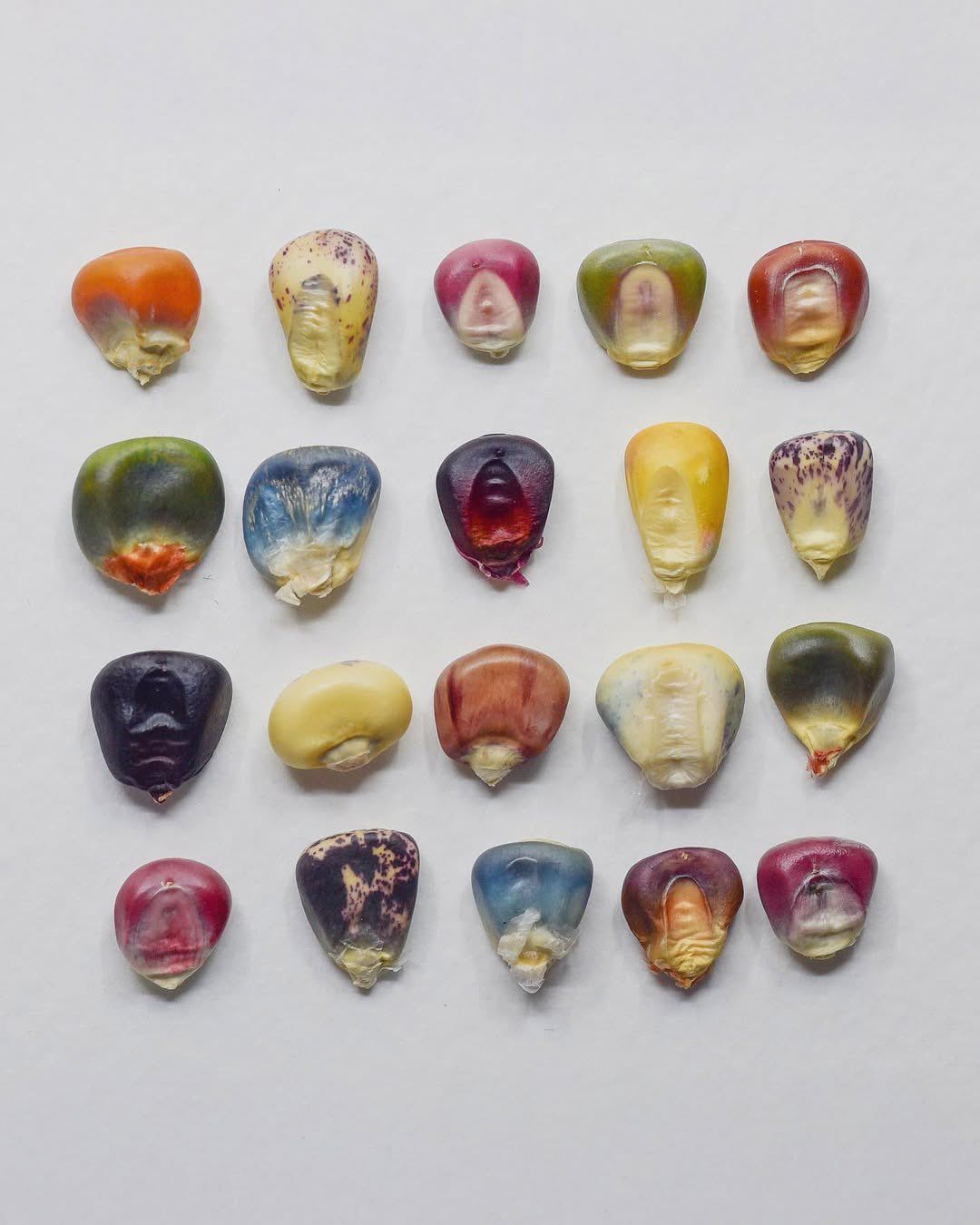 Thumbnail of maya-arsalendi 0