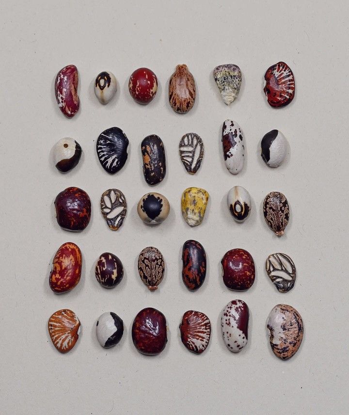 Thumbnail of maya-arsalendi 1