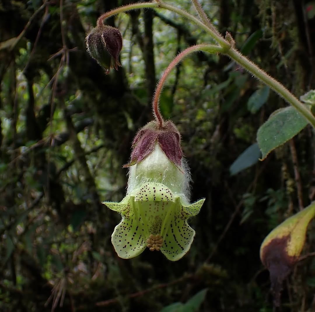 Thumbnail of www-instagram-com-p-dts1gt8doud 2