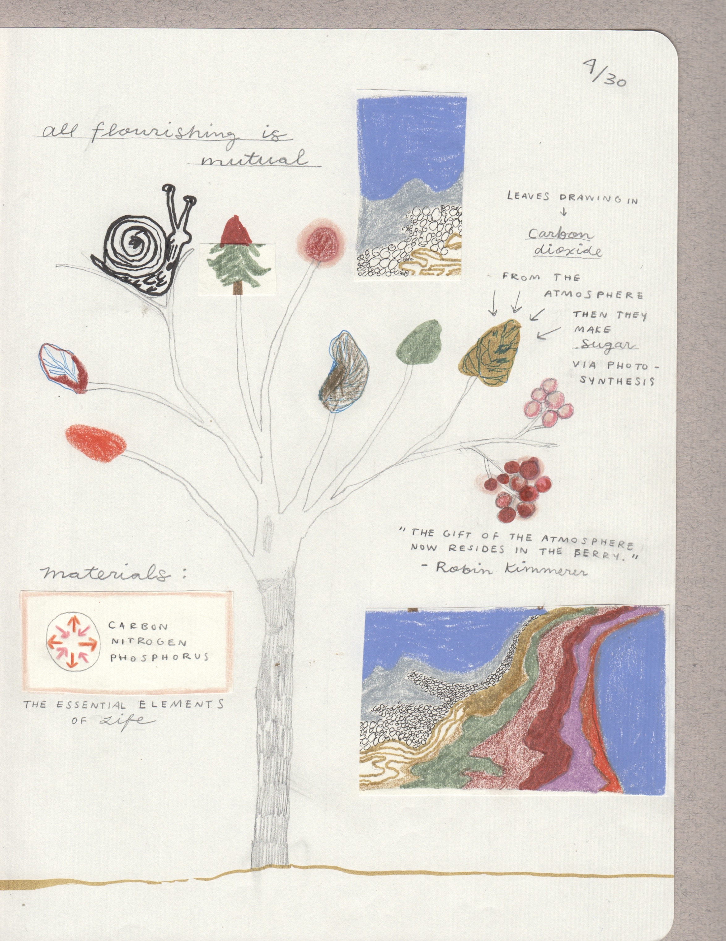 Thumbnail of avery-elias-snailtales 0