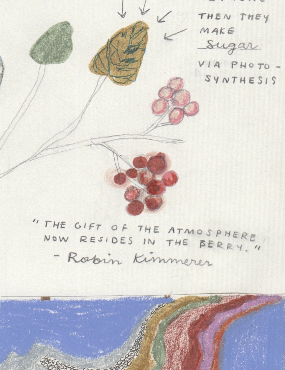 Thumbnail of avery-elias-snailtales 1