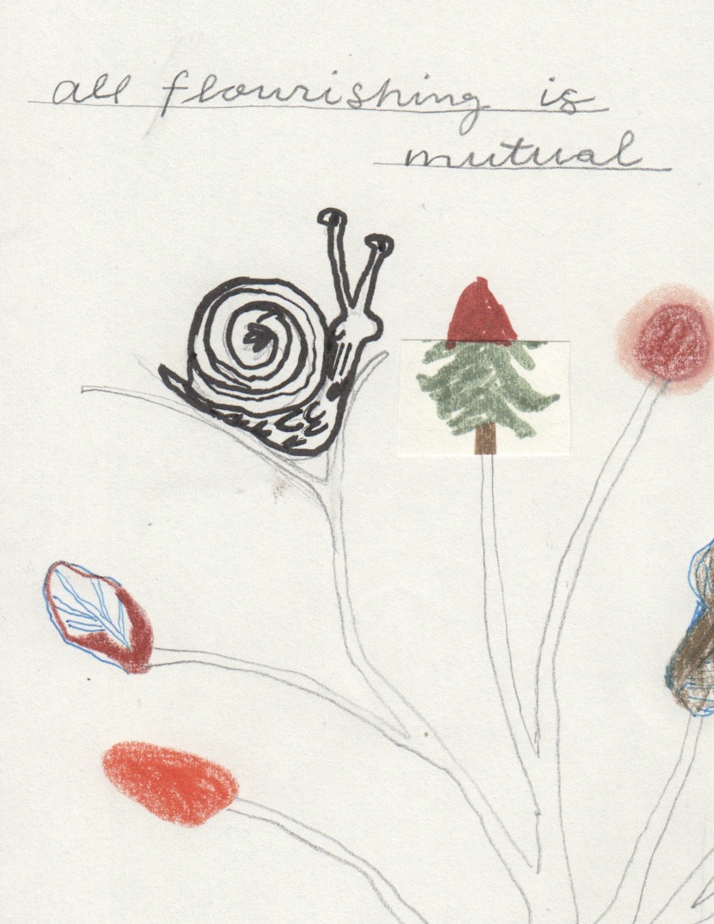 Thumbnail of avery-elias-snailtales 2