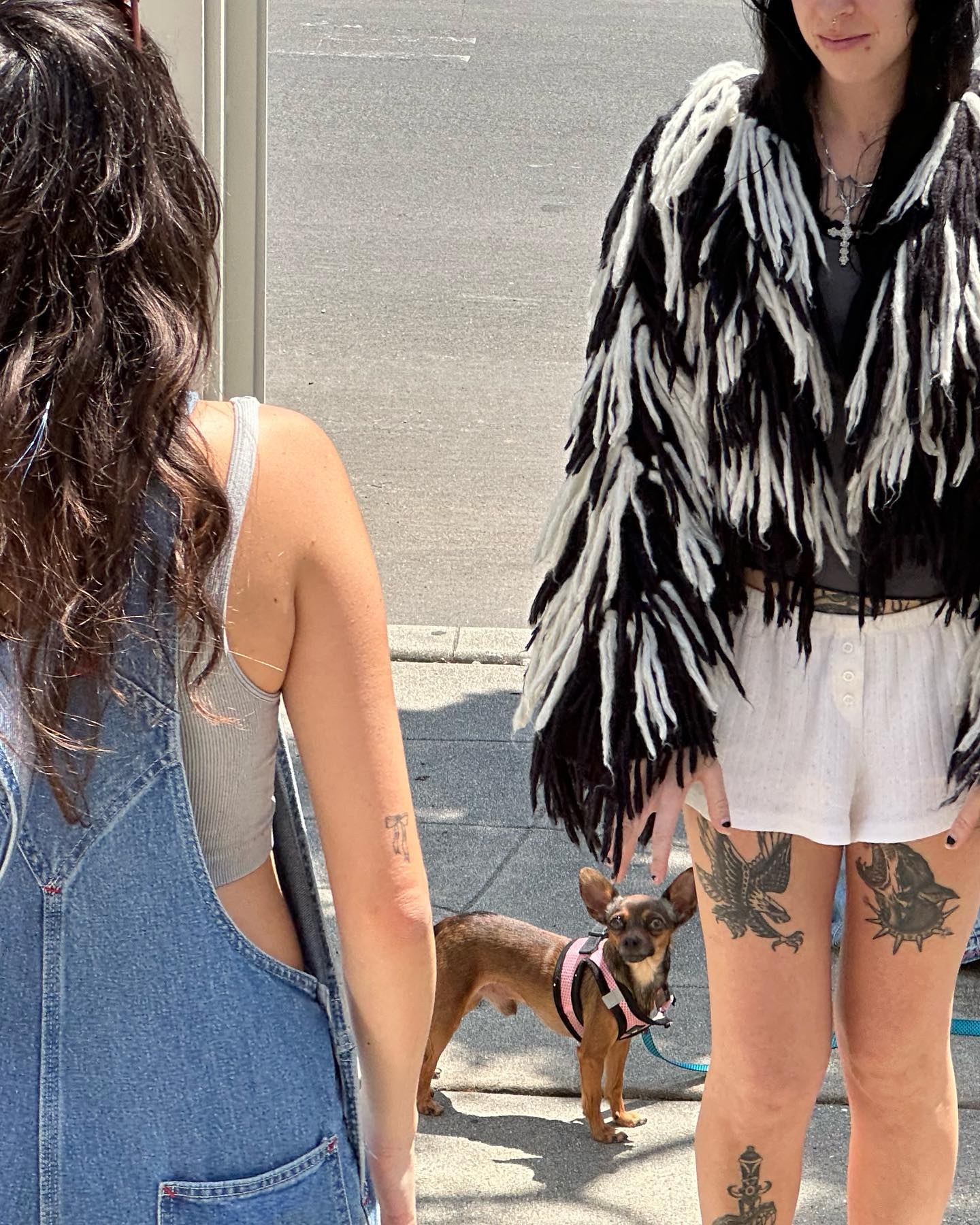 Thumbnail of p-cssanojle63-3cde3a43f09940bc 4