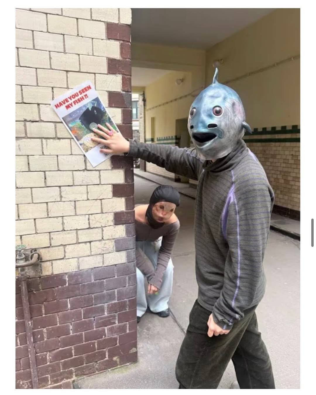 Thumbnail of www-instagram-com-p-dvghoxiiqad-img-index-6 4