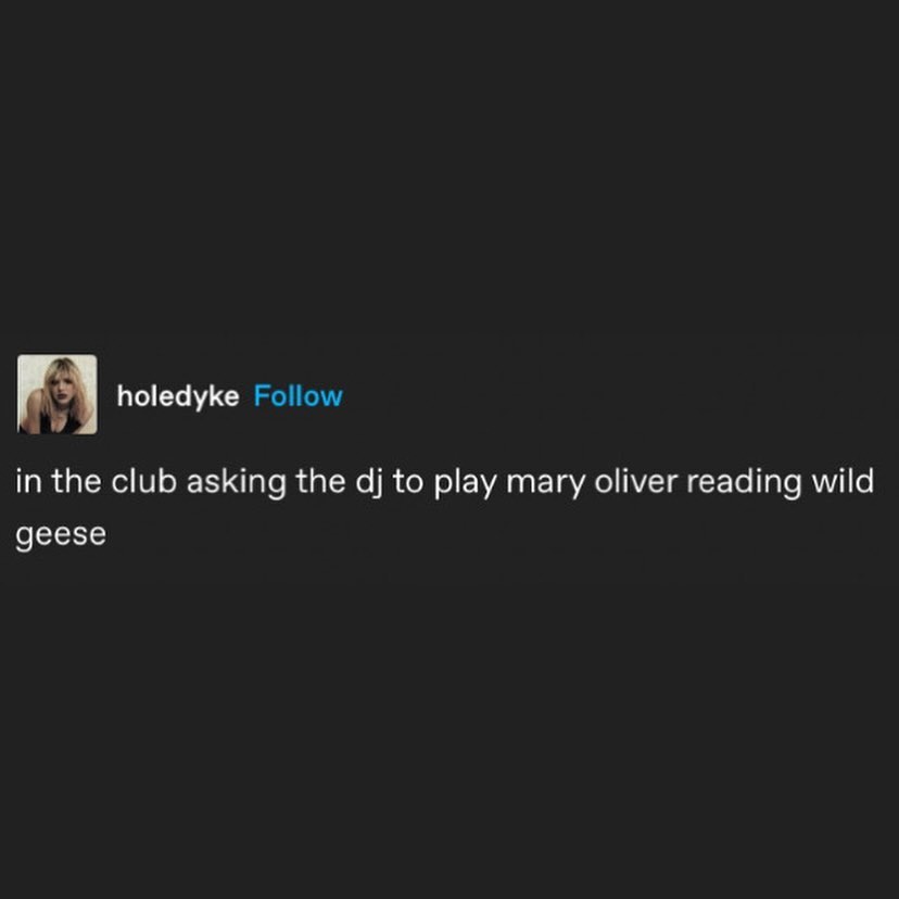 Thumbnail of www-instagram-com-p-db-hnpovtgu-img-index-1 0