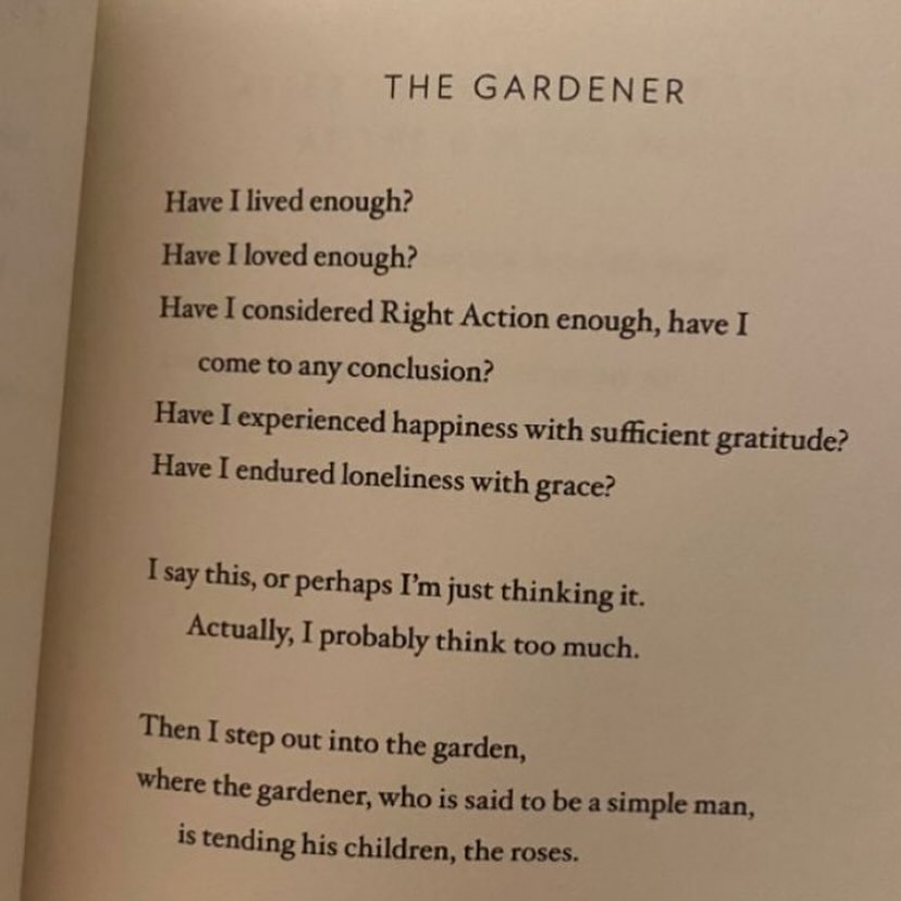 Thumbnail of www-instagram-com-p-db-hnpovtgu-img-index-1 2