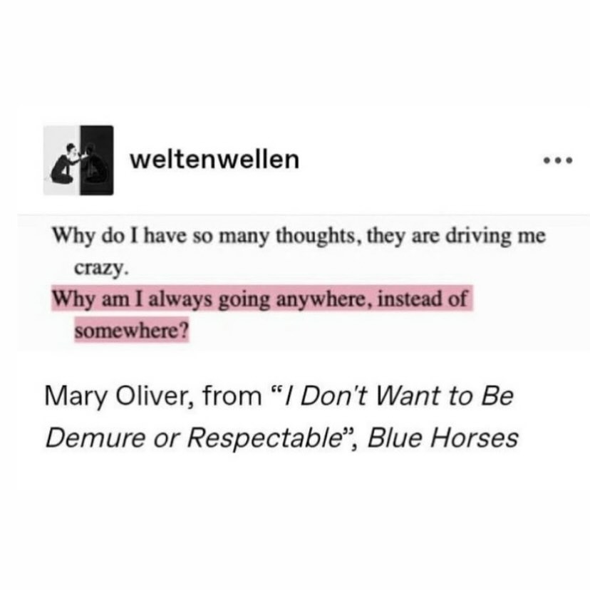 Thumbnail of www-instagram-com-p-db-hnpovtgu-img-index-1 3