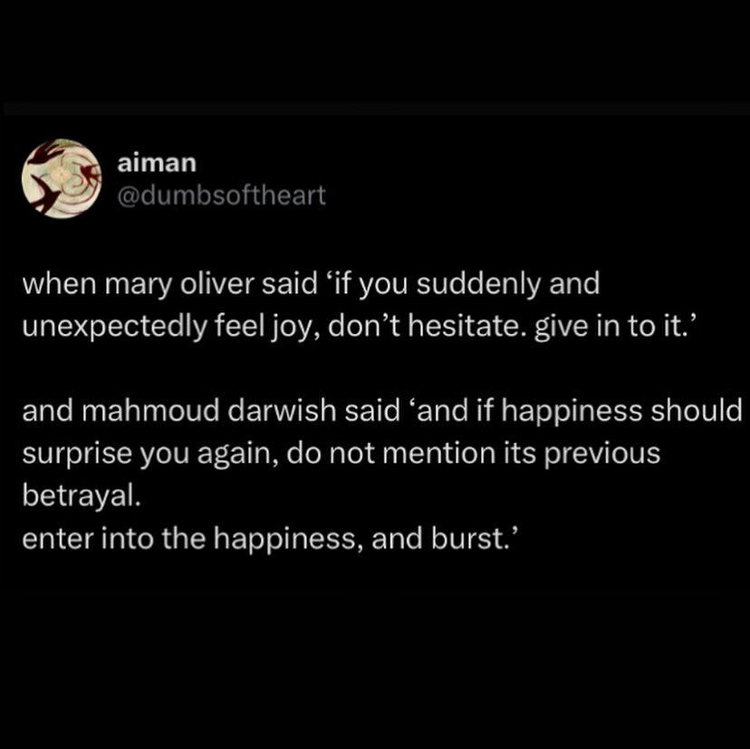 Thumbnail of www-instagram-com-p-db-hnpovtgu-img-index-1 4