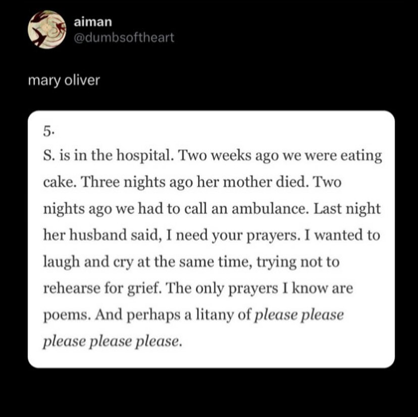 Thumbnail of www-instagram-com-p-db-hnpovtgu-img-index-1 5