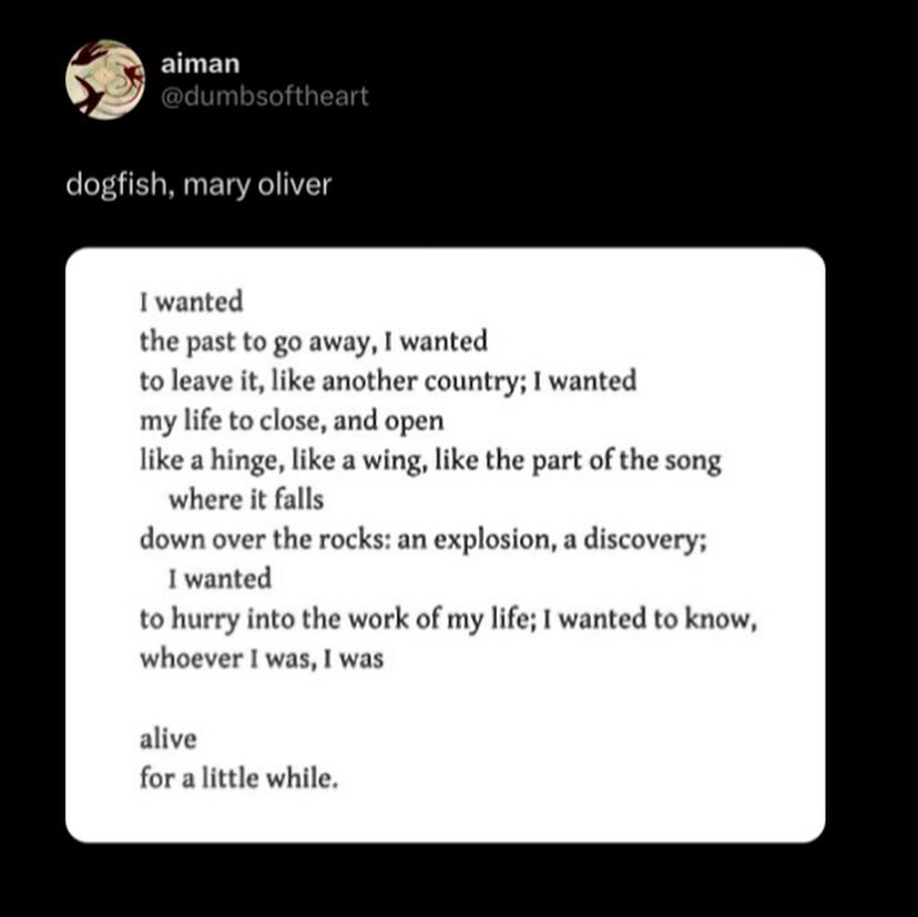 Thumbnail of www-instagram-com-p-db-hnpovtgu-img-index-1 6