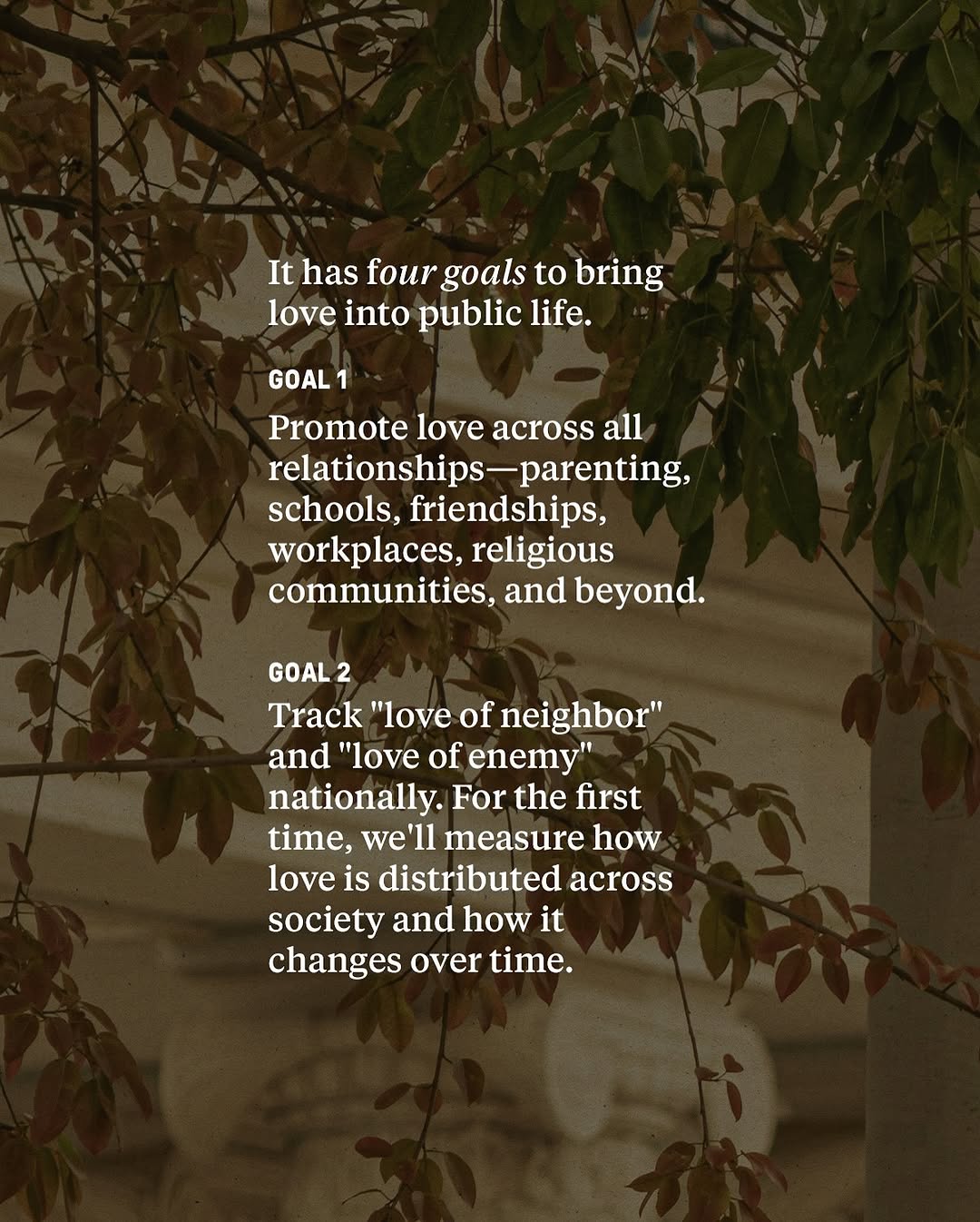 Thumbnail of www-instagram-com-p-dra-taxjn88 2