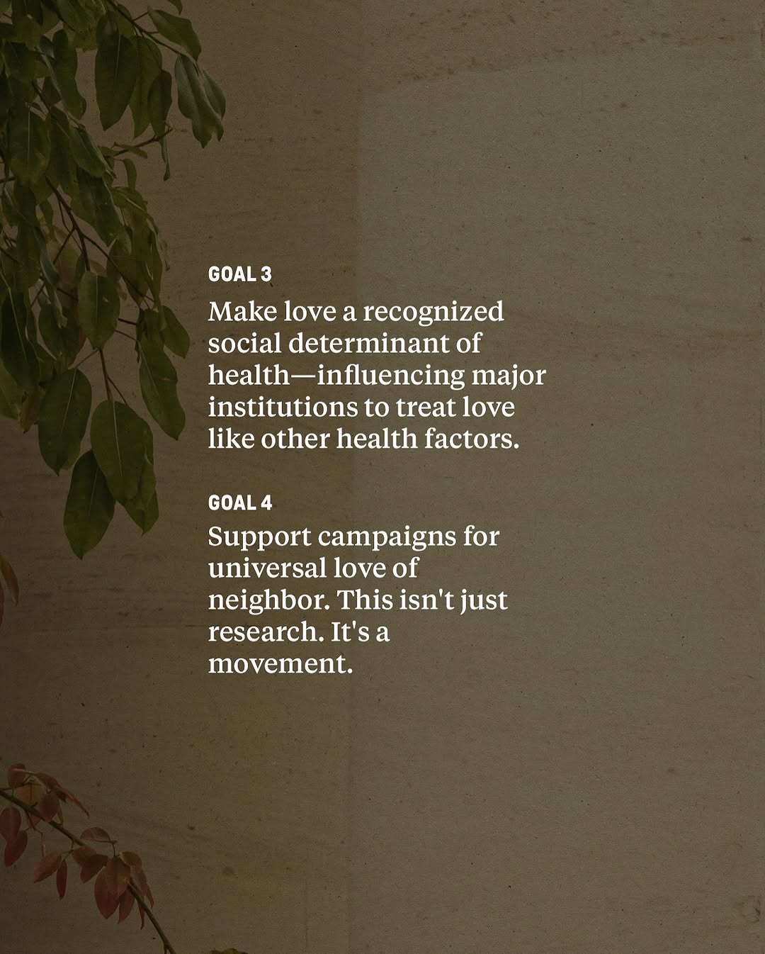 Thumbnail of www-instagram-com-p-dra-taxjn88 3