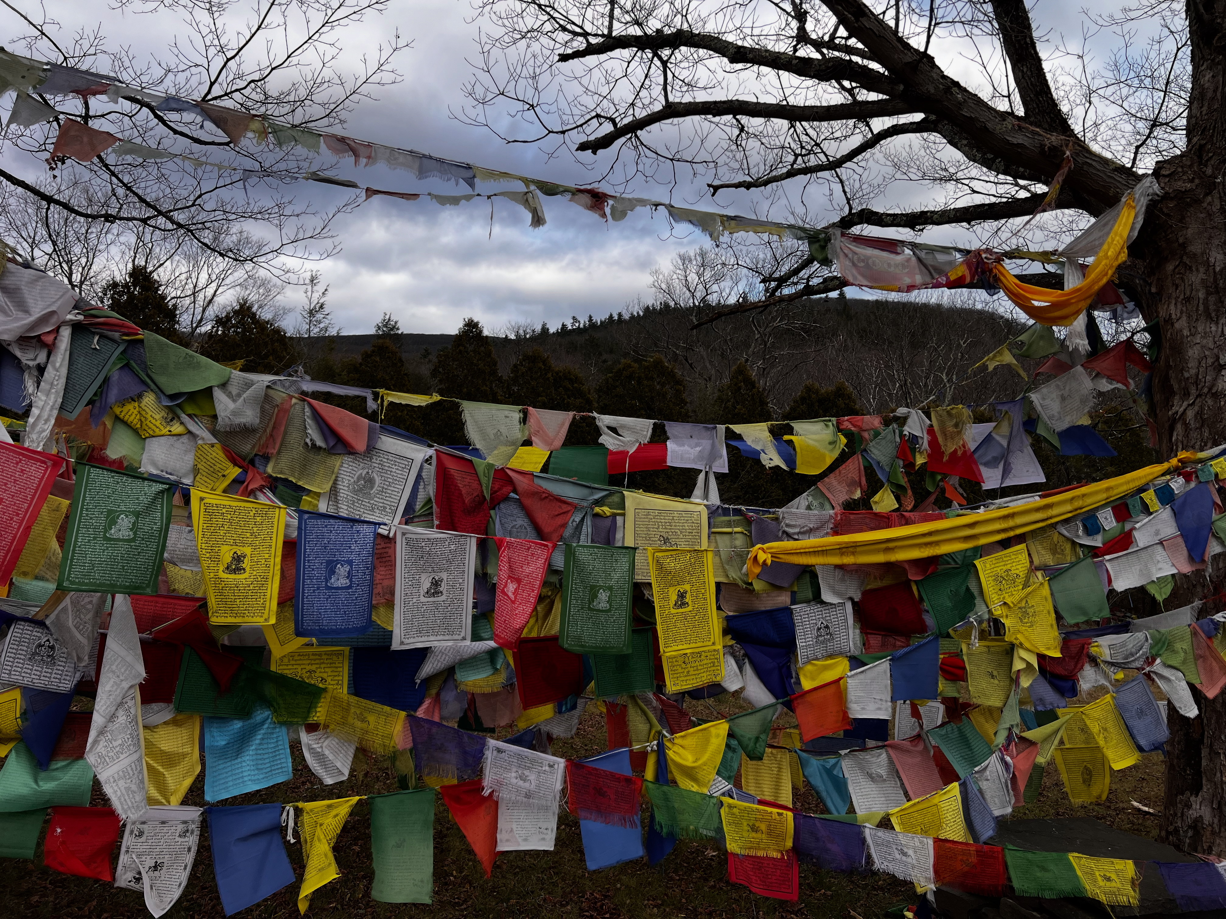 Thumbnail of damien-echols-damienechols-3f780ab048c74305 0