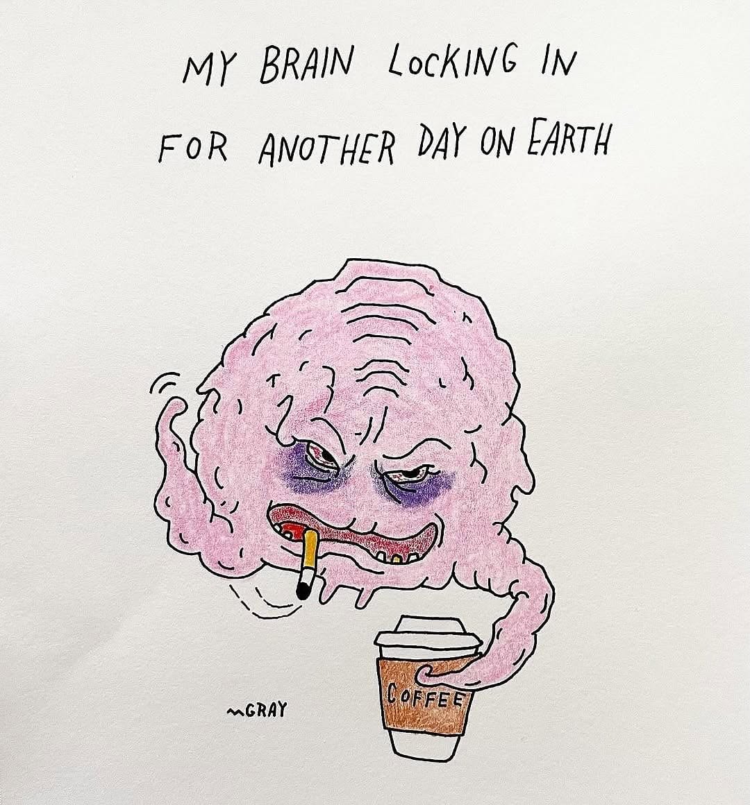 Thumbnail of www-instagram-com-p-drqj6wcdu8p-img-index-1 4