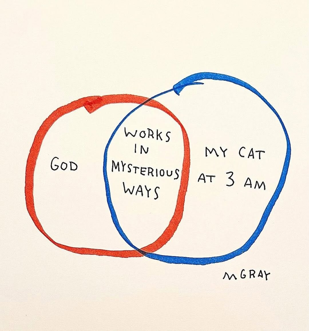 Thumbnail of www-instagram-com-p-drqj6wcdu8p-img-index-1 5