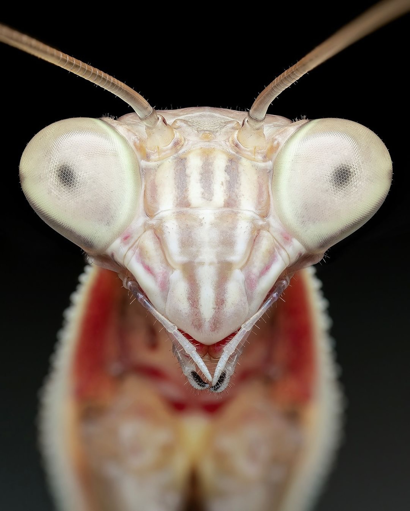 Thumbnail of c-z6zzpofs-40463e593fdb403a 6