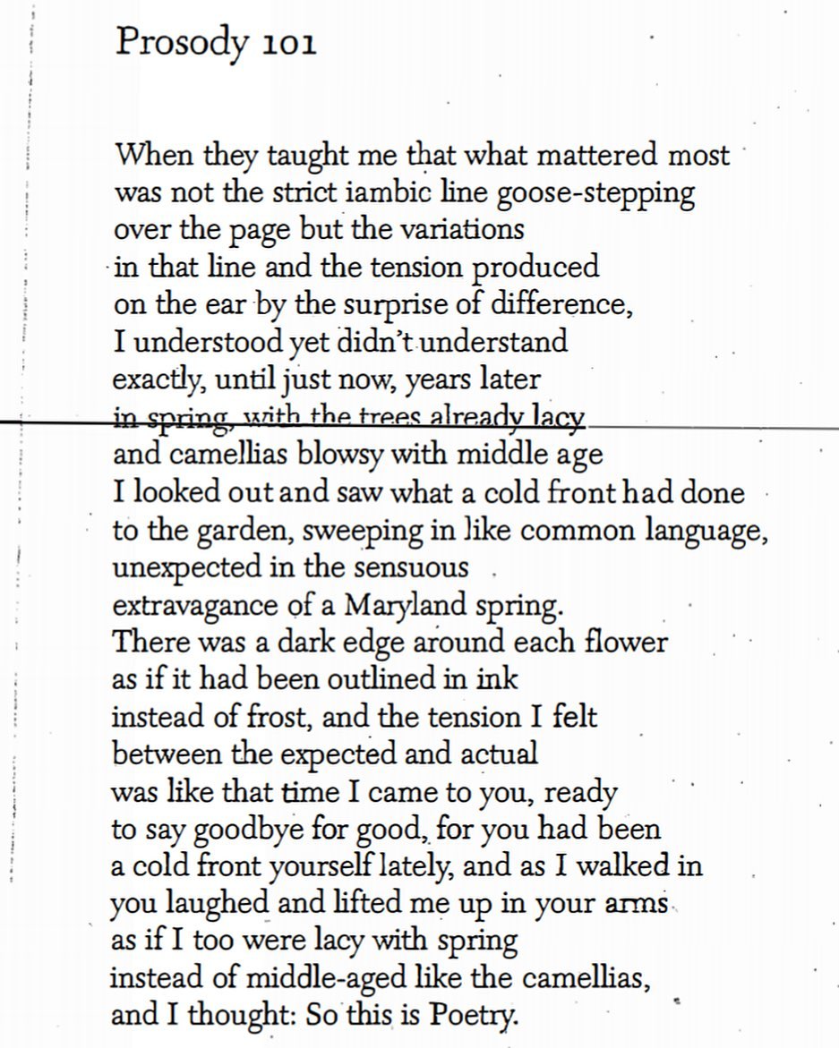 Thumbnail of www-instagram-com-p-b9ufk0wh8bw 0