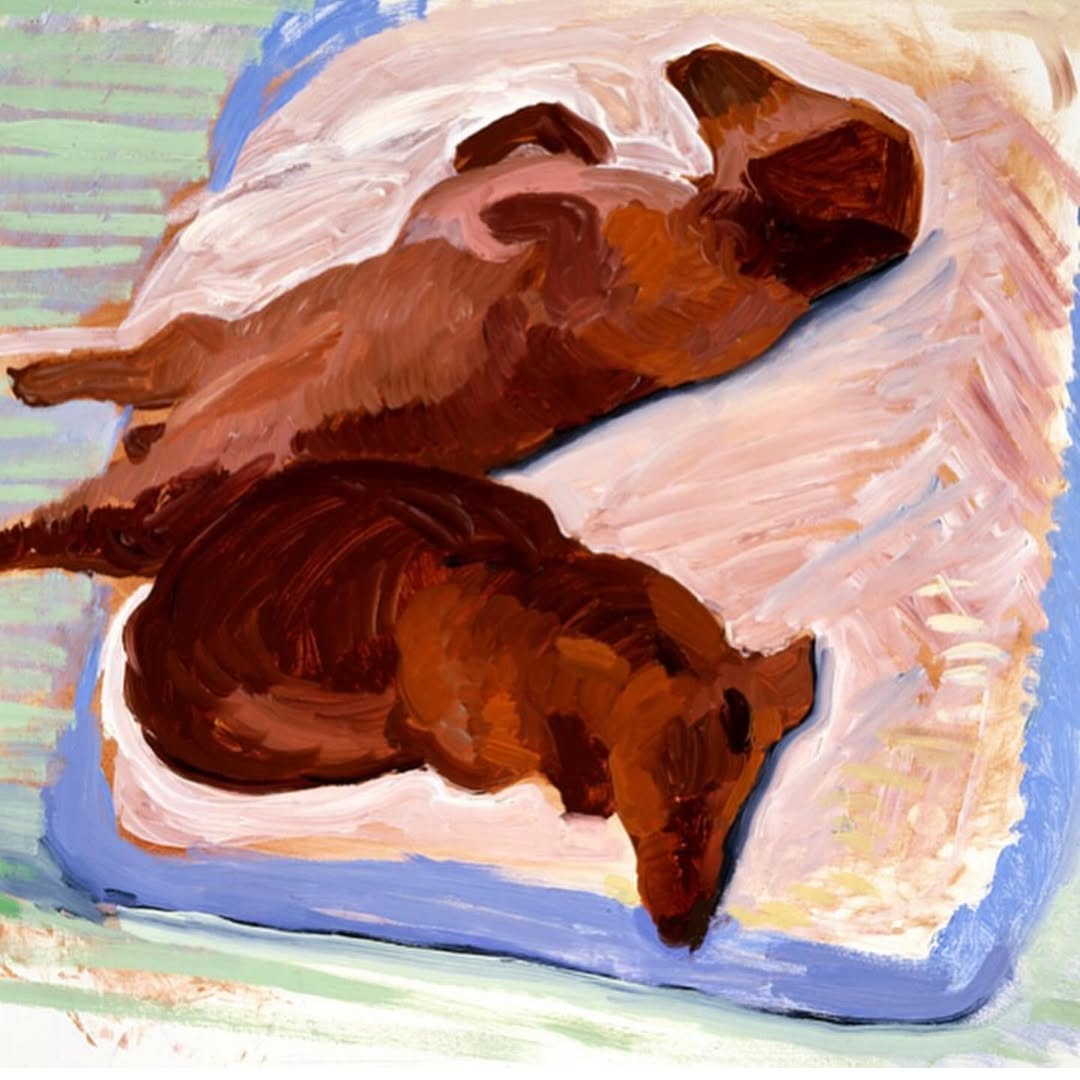 Thumbnail of www-instagram-com-p-c4fkwwmo72o 1