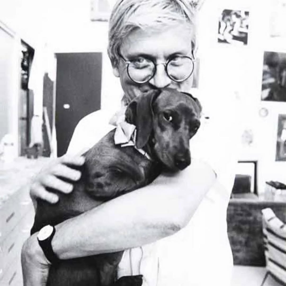 Thumbnail of www-instagram-com-p-c4fkwwmo72o 2