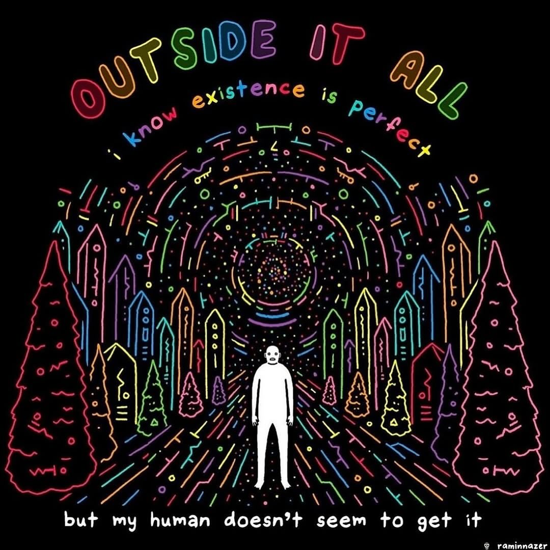 Thumbnail of p-dh36ctns2jm-48609a64ab754bf1 9