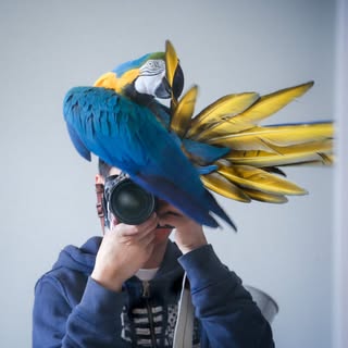 Thumbnail of Feng Li 冯立 @fenglee313