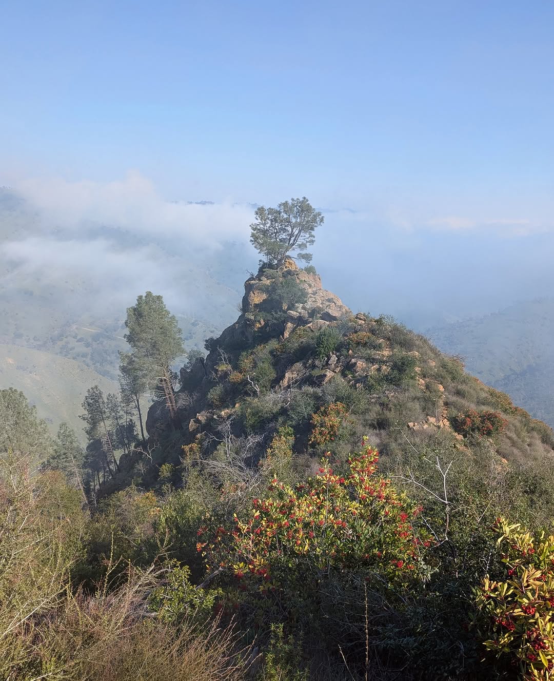 Thumbnail of www-instagram-com-p-dt8xifpgvy1 5