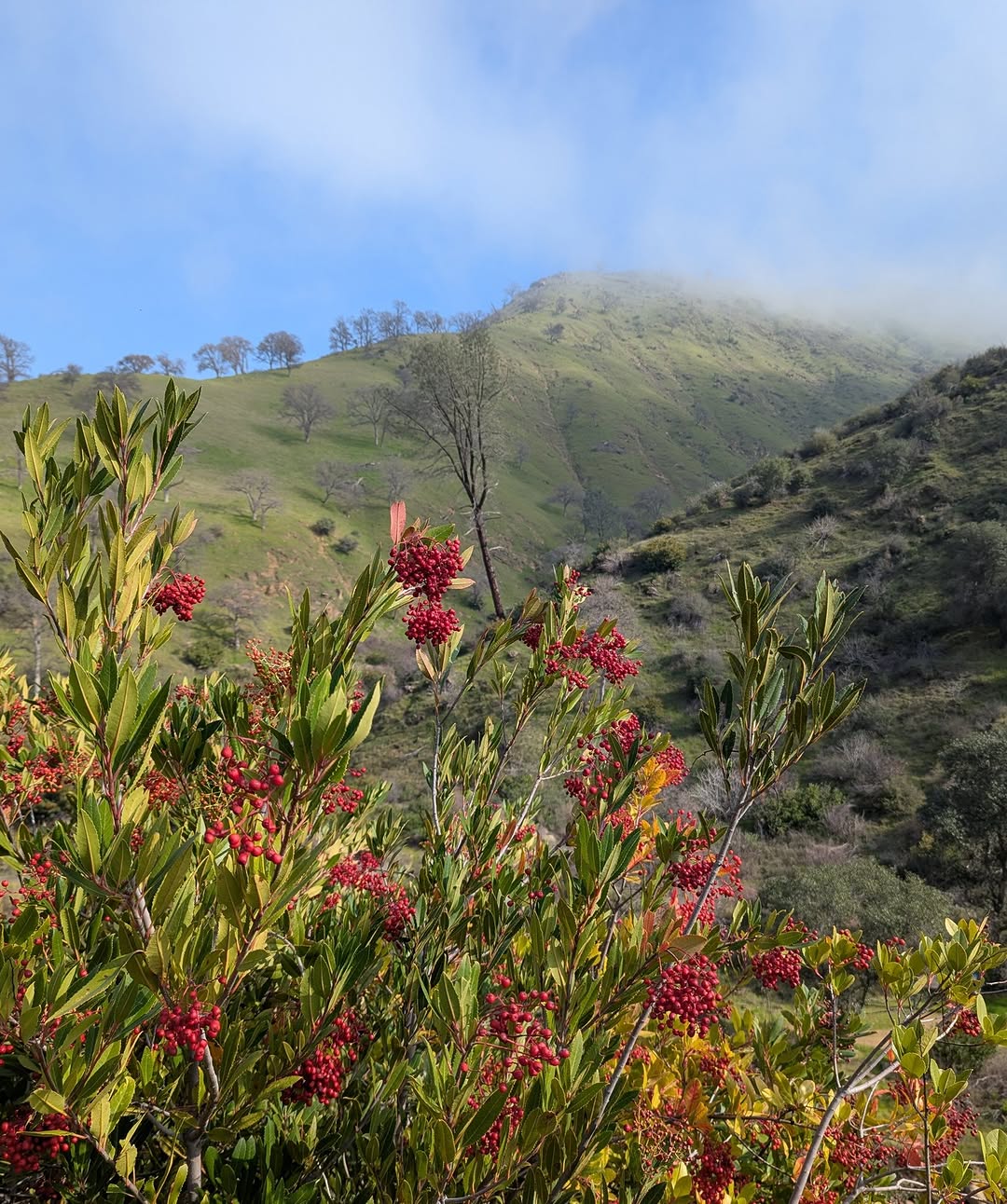 Thumbnail of www-instagram-com-p-dt8xifpgvy1 7