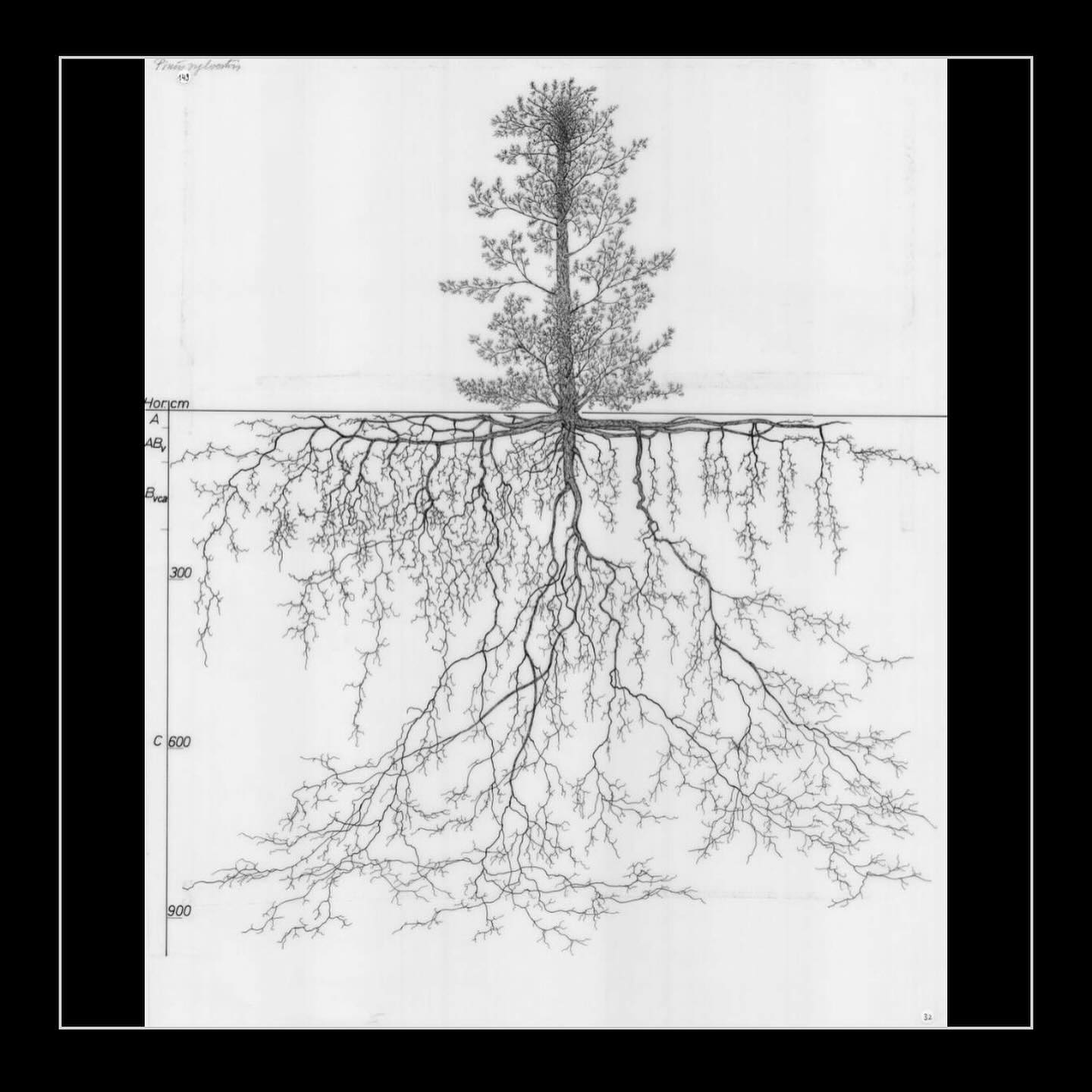 Thumbnail of p-c7rhbvfsrfj-4d2b91da46b44b21 4