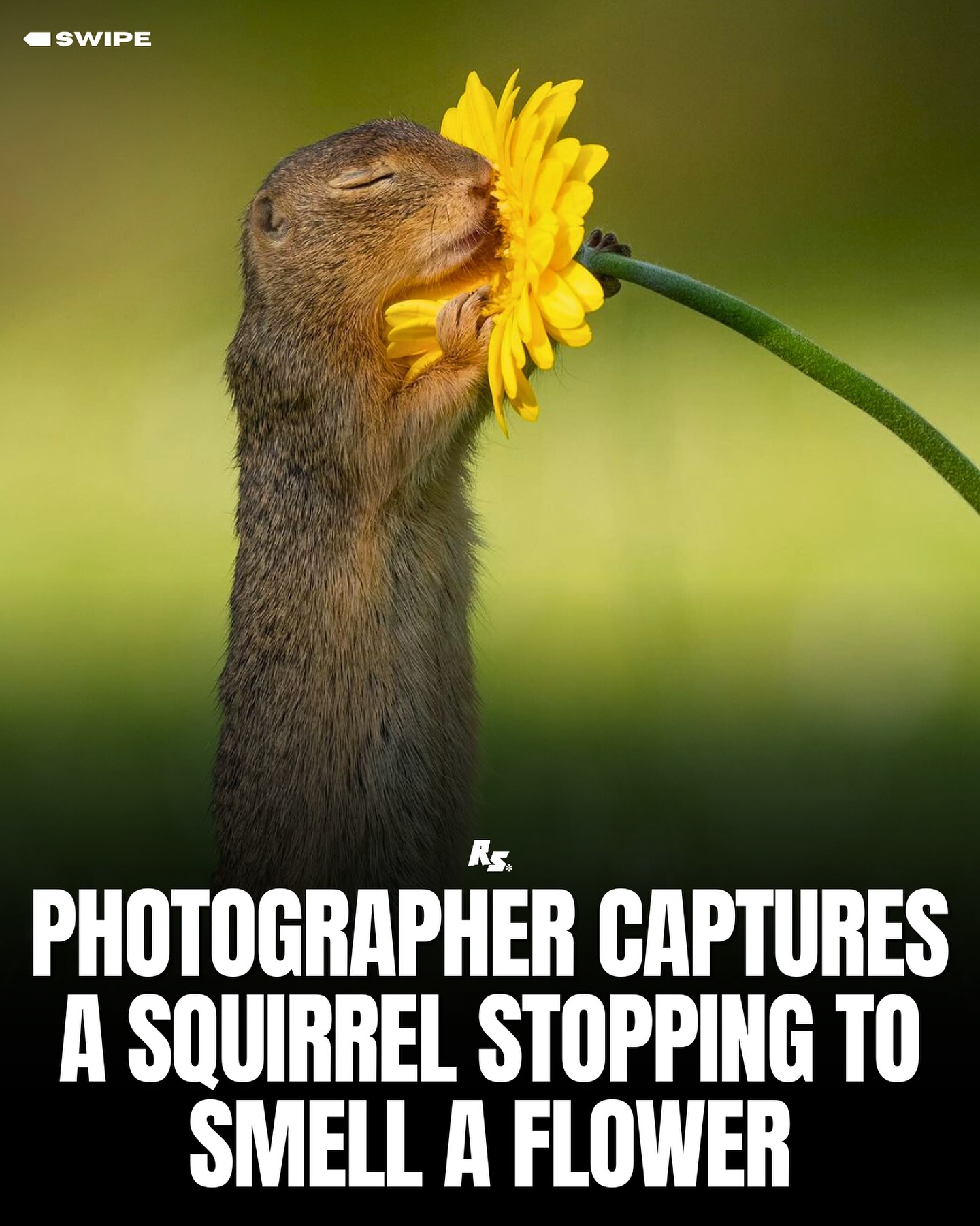 Thumbnail of c8kjpr-pm7p-4dff79c624fa4cc1 0