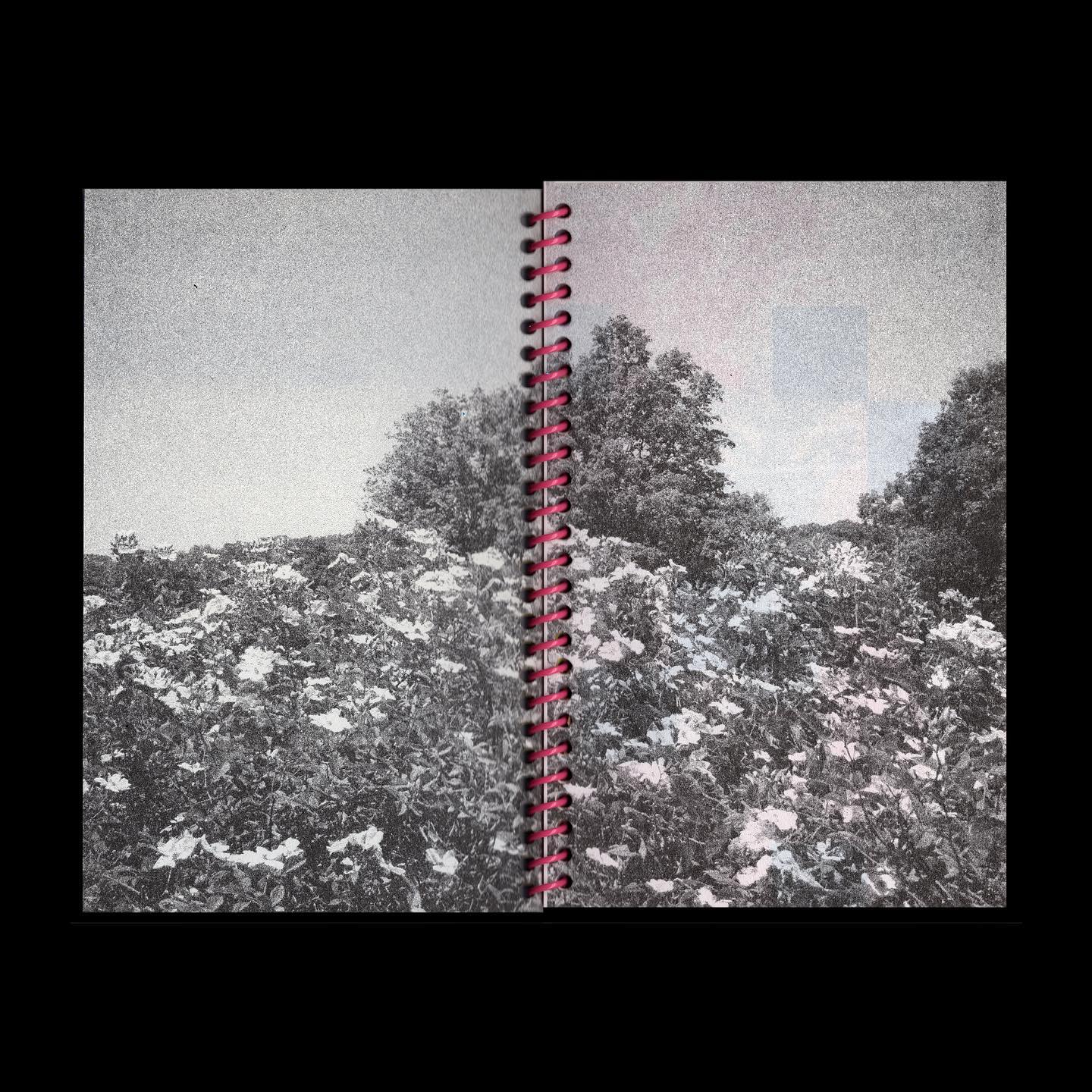 Thumbnail of c3a3-1tro0w-4ffd2719a96d453e 3