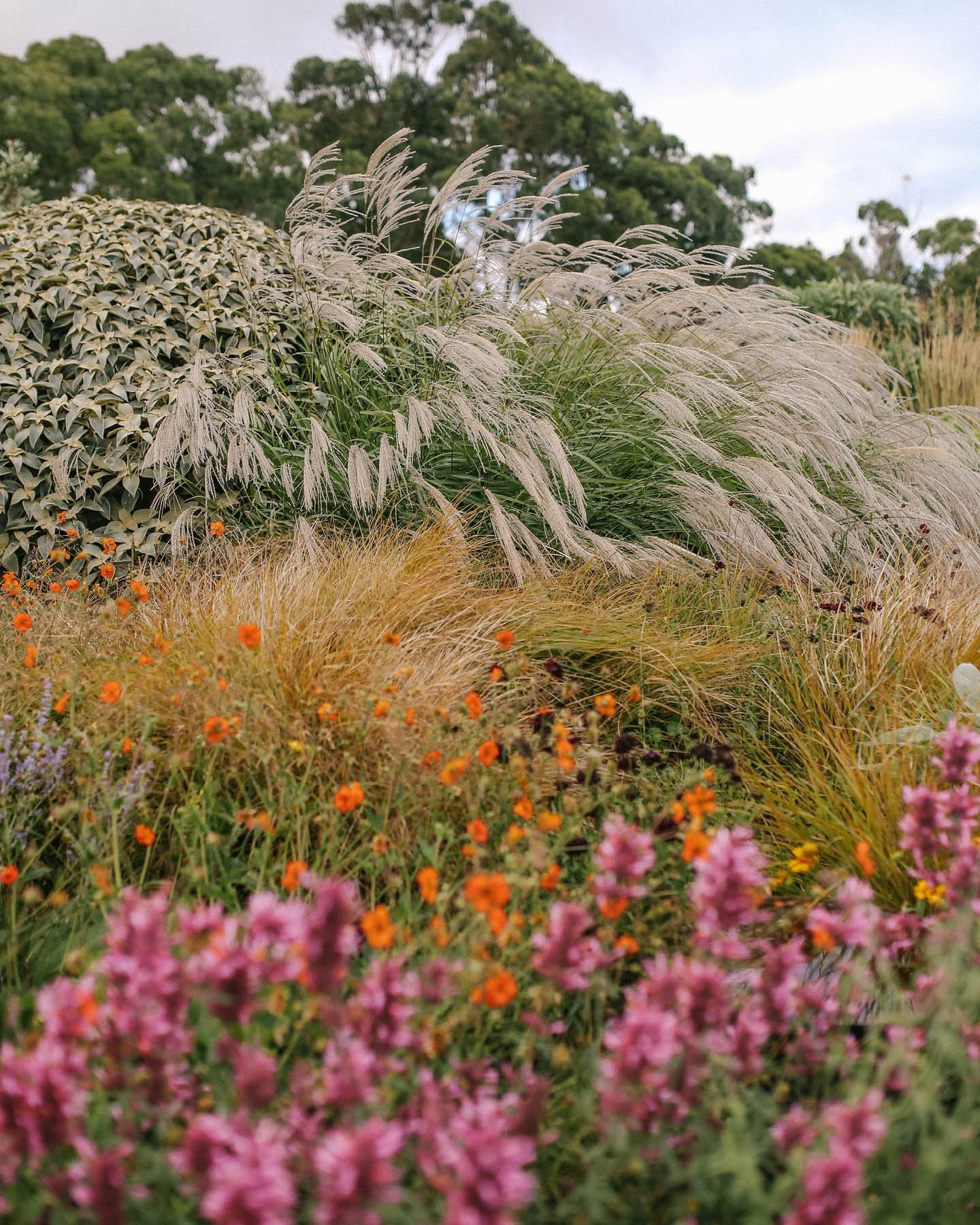 Thumbnail of p-ctqosg4txld-504876d82eb143ca 1