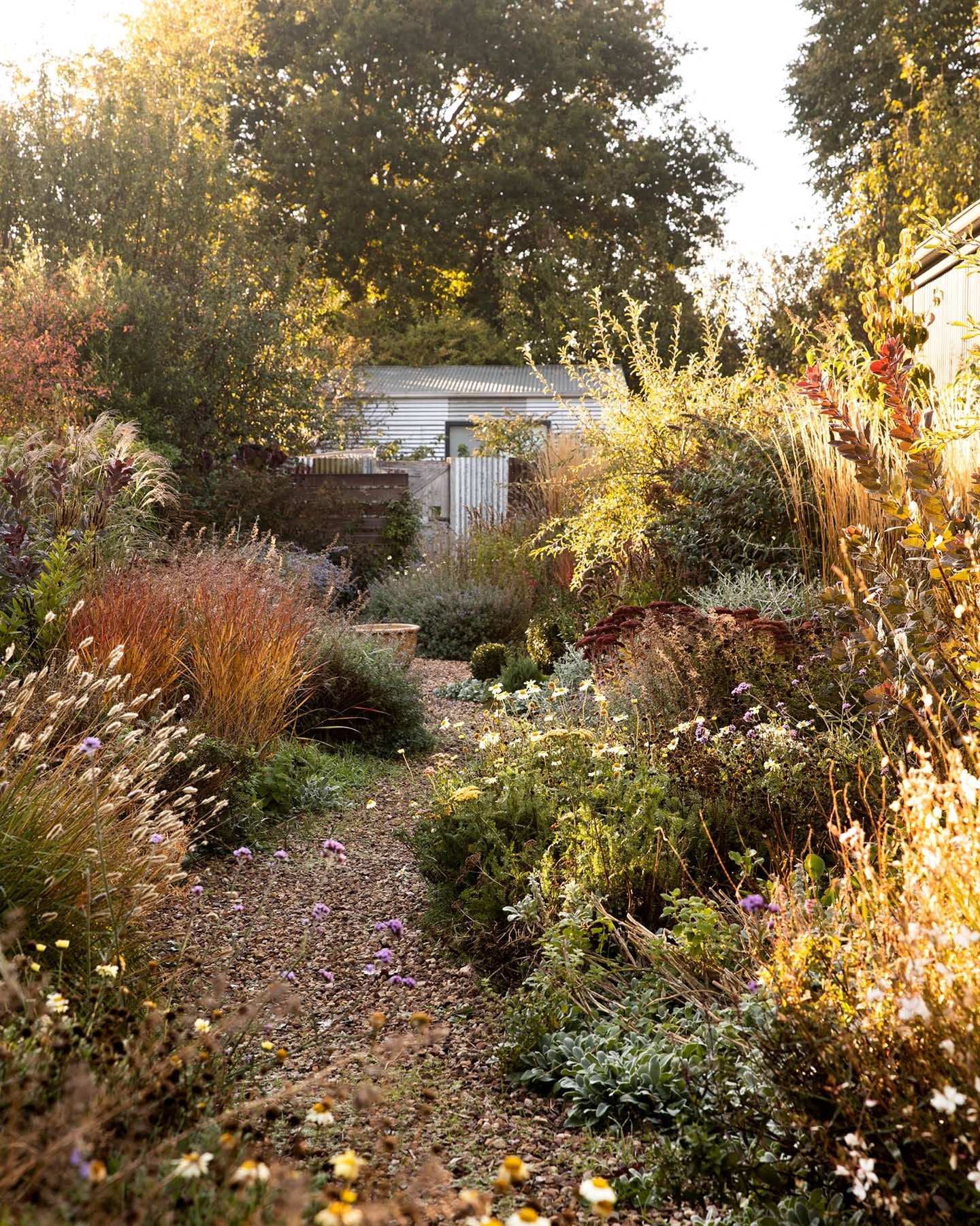 Thumbnail of p-ctqosg4txld-504876d82eb143ca 2