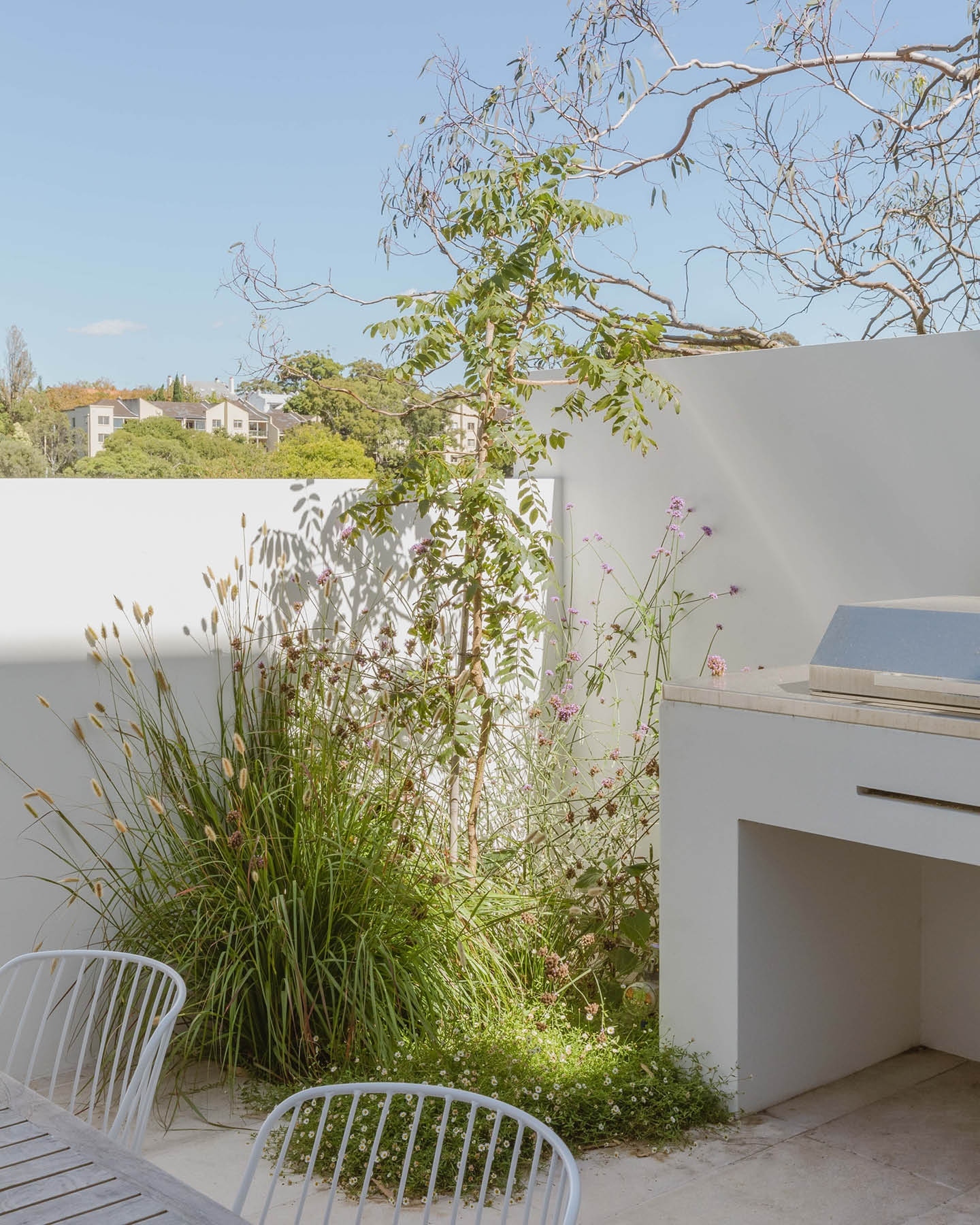 Thumbnail of p-ctqosg4txld-504876d82eb143ca 3