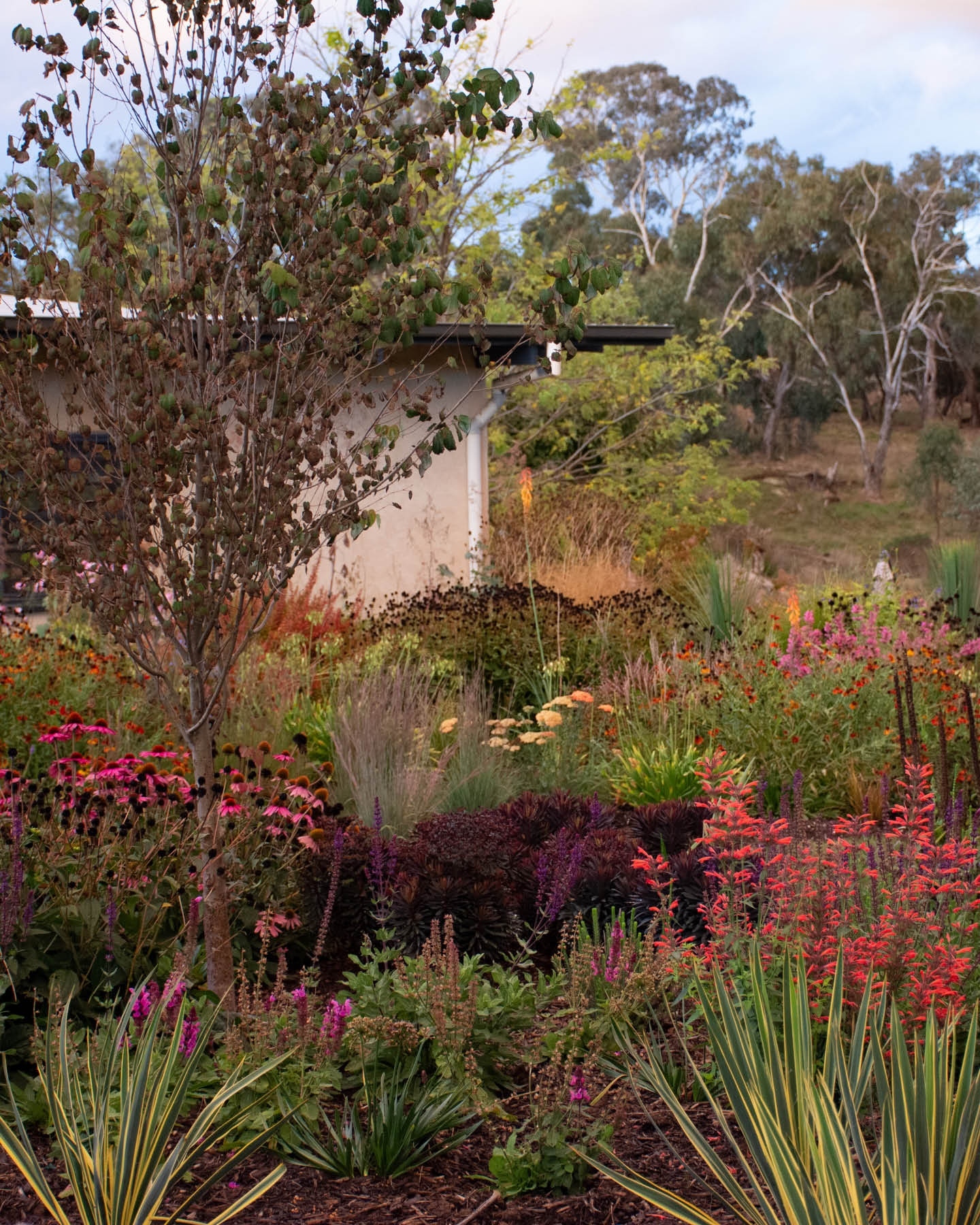 Thumbnail of p-ctqosg4txld-504876d82eb143ca 4