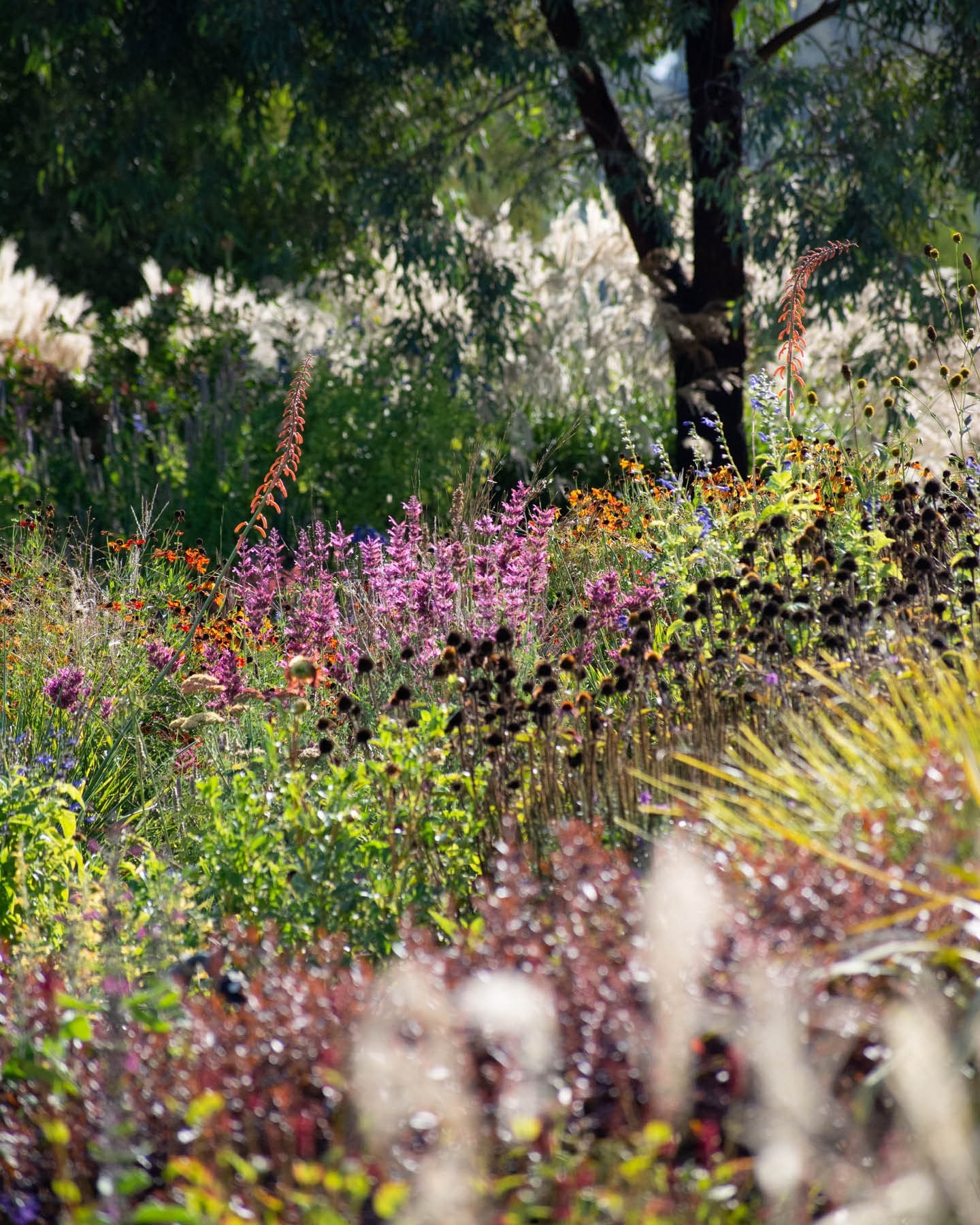 Thumbnail of p-ctqosg4txld-504876d82eb143ca 5