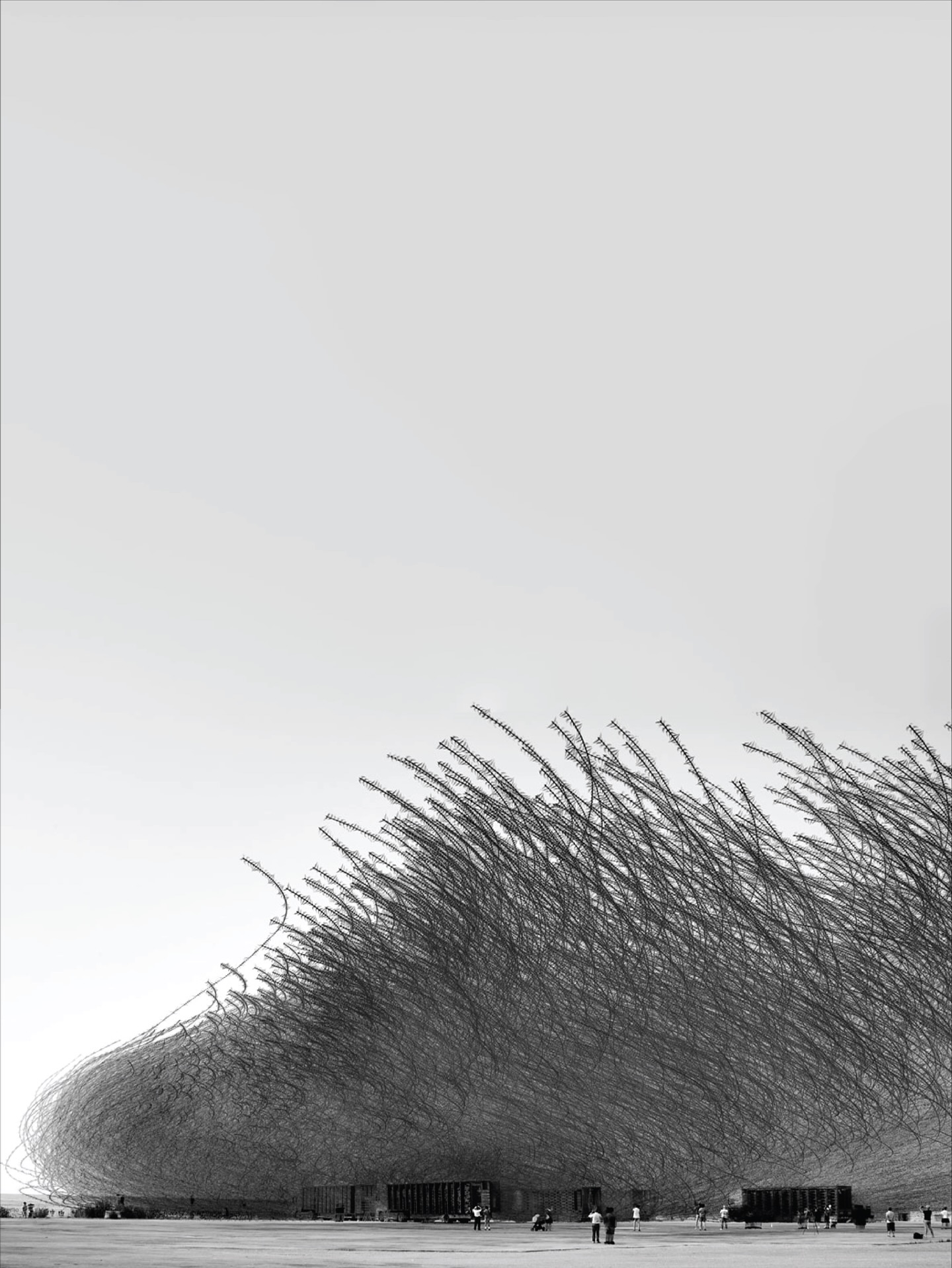 Thumbnail of p-dquzfzbdttk-51aa9405e59845d9 10