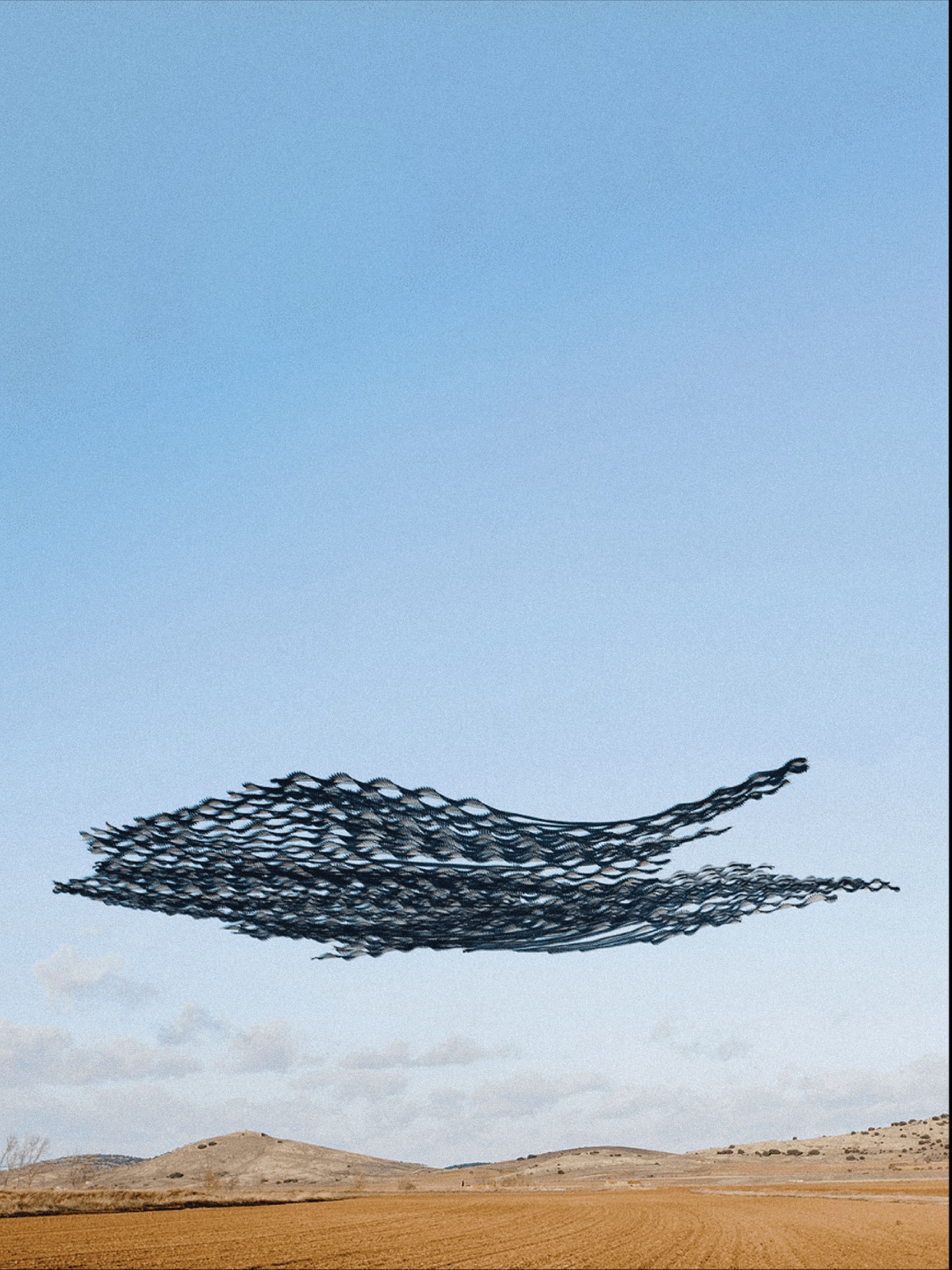 Thumbnail of p-dquzfzbdttk-51aa9405e59845d9 3