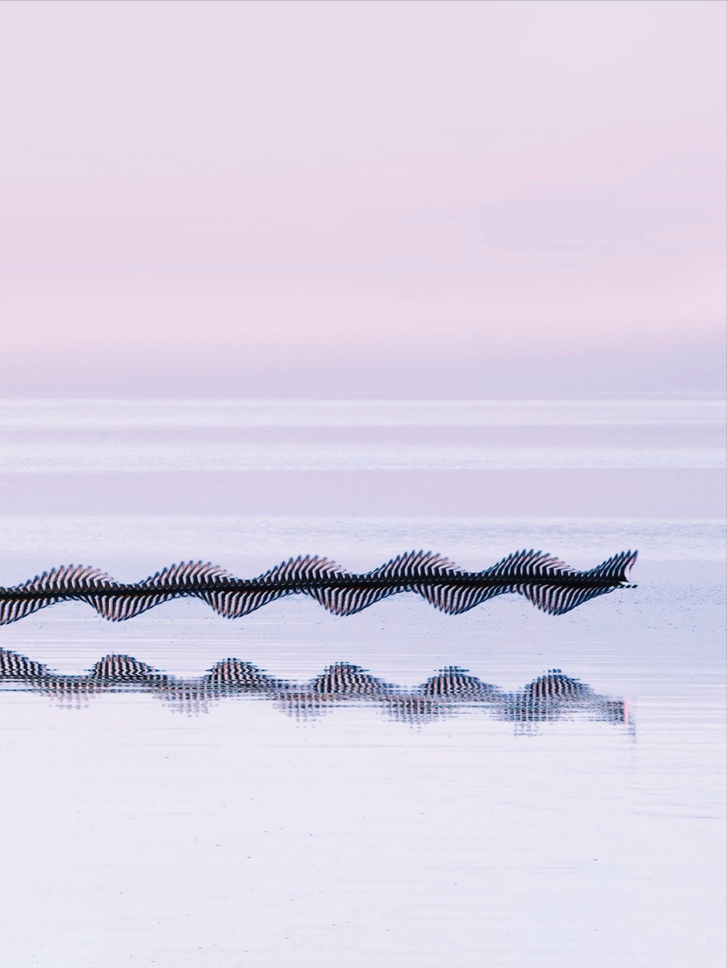 Thumbnail of p-dquzfzbdttk-51aa9405e59845d9 9