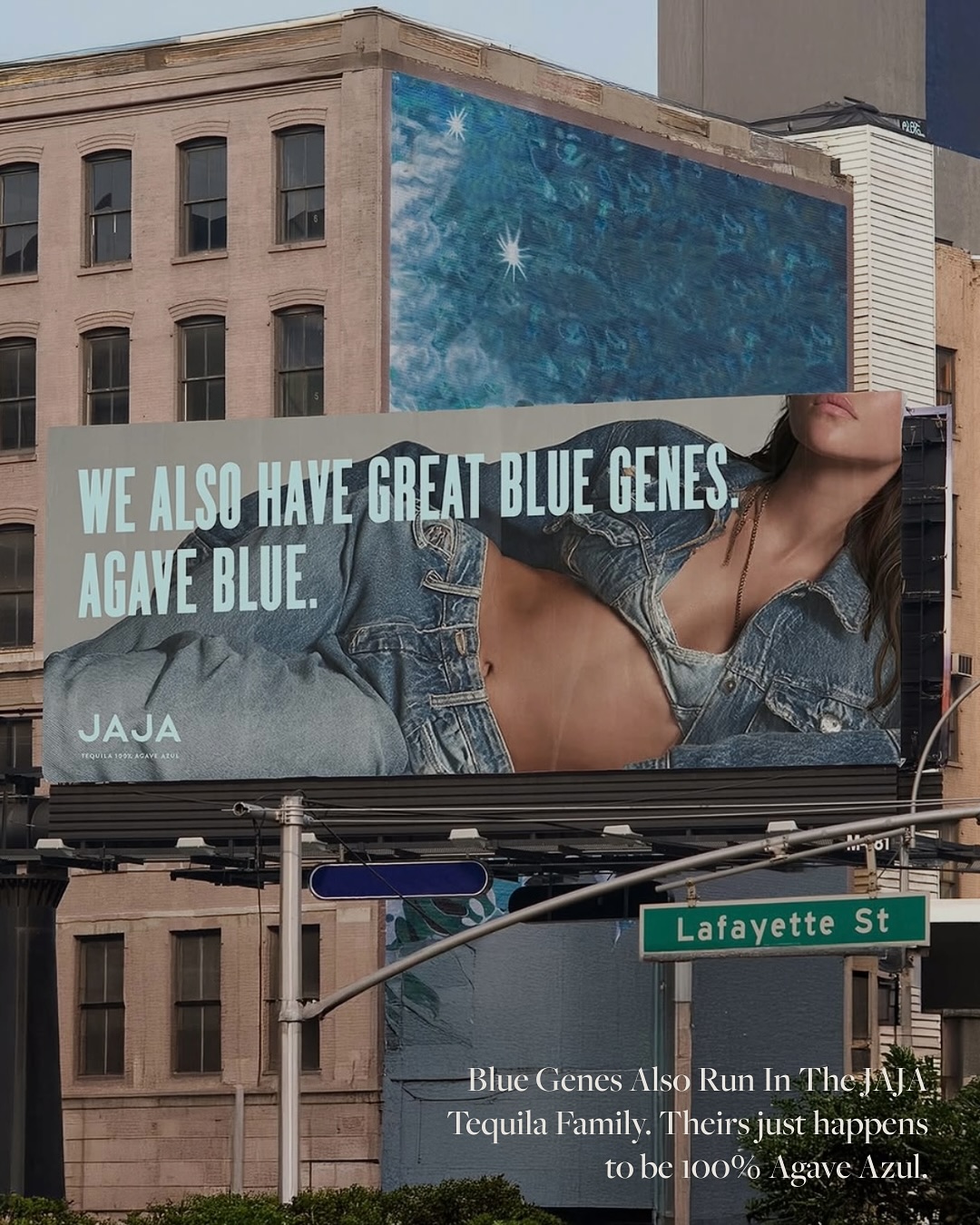 Thumbnail of dnf-3f6ml40-51d77525ec954142 1