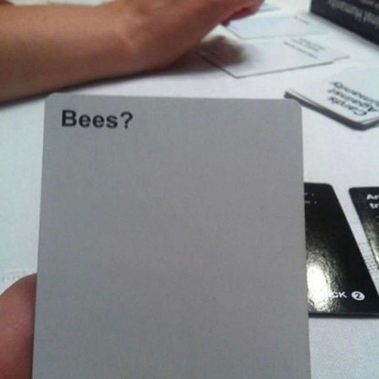 Thumbnail of p-b2xiyfqfkx6-532d58c3f9e44880 1