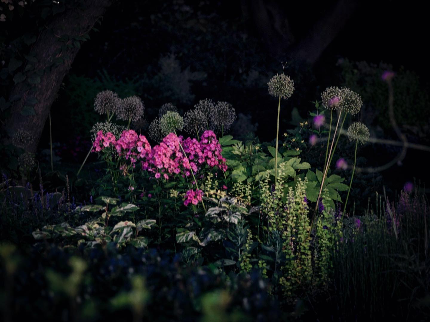 Thumbnail of p-bzlt3tbgya3-533a76e3181f4075 0