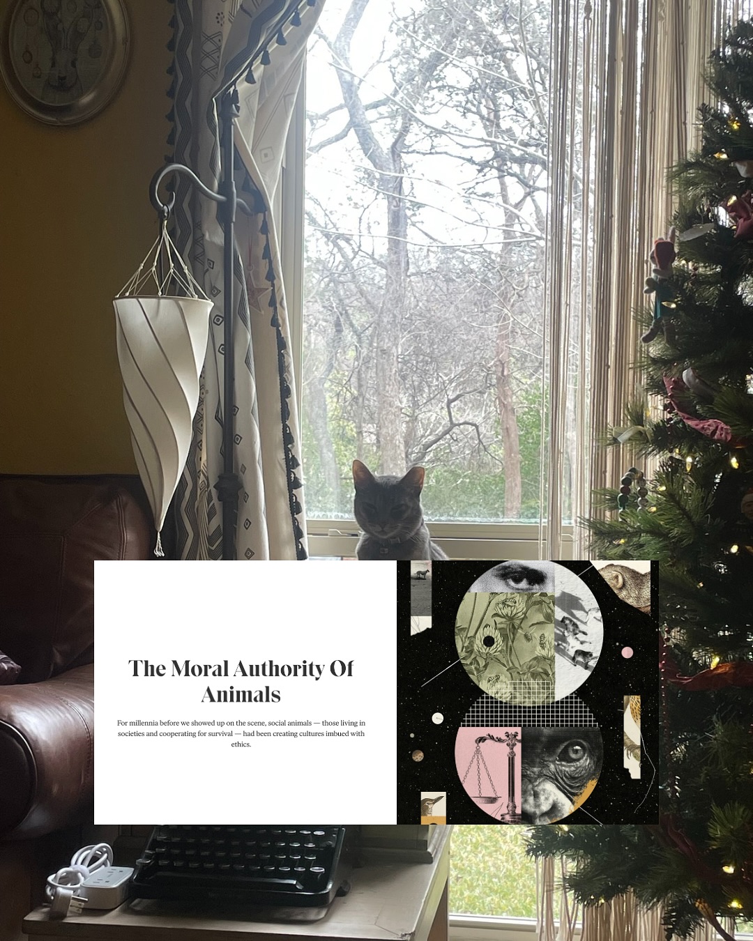 Thumbnail of p-dt22y7bddht-55632f4051c5426f 1