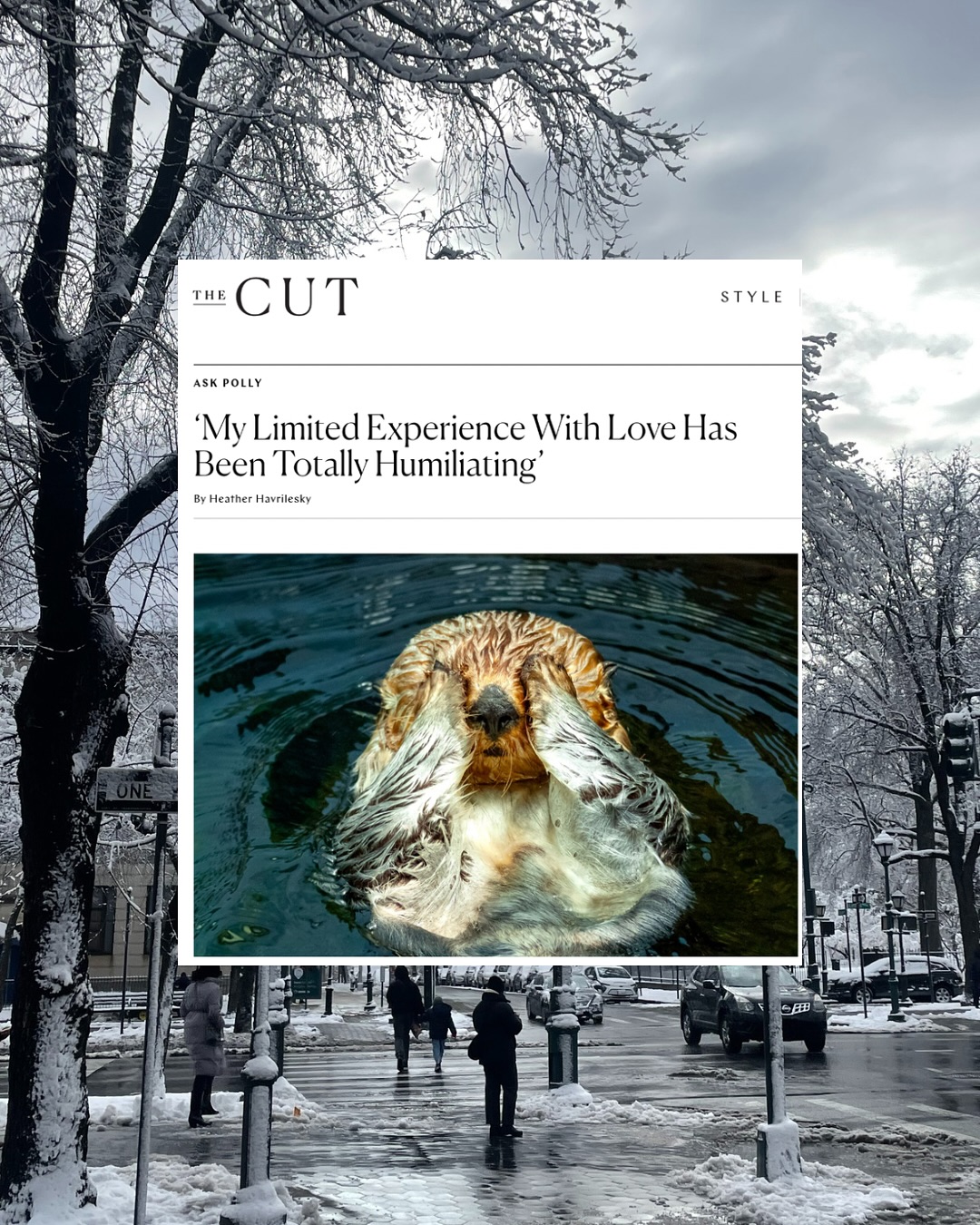 Thumbnail of p-dt22y7bddht-55632f4051c5426f 2