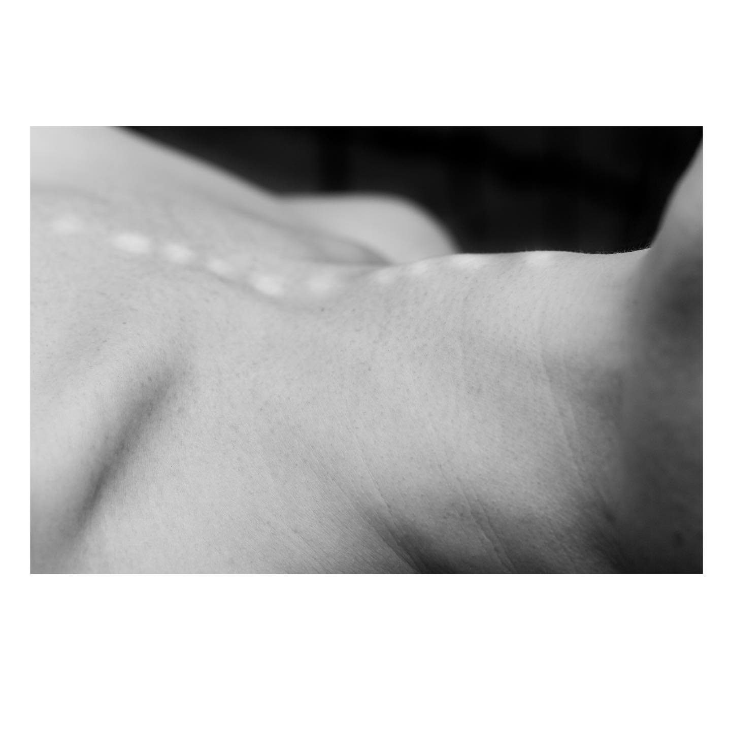 Thumbnail of p-cfiam8ag793-56df51aee74149e0 0